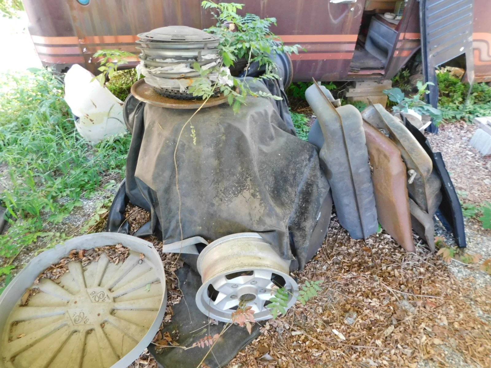 DSCN9668.JPG