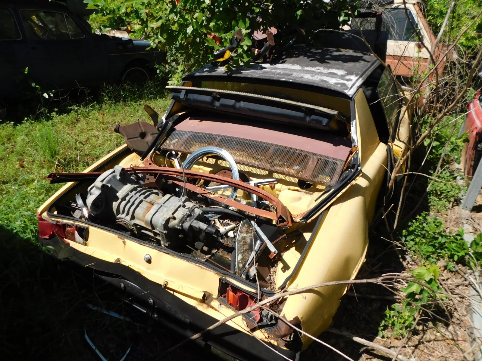 DSCN9678.JPG