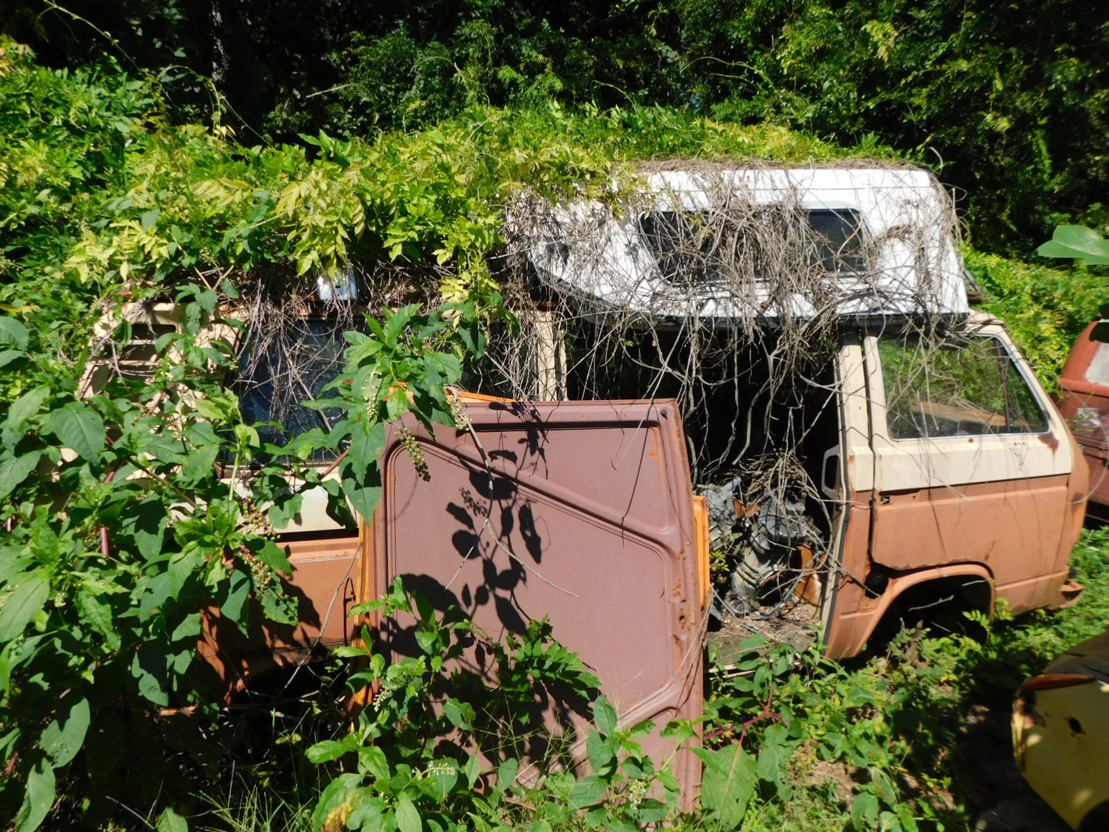 DSCN9680.JPG