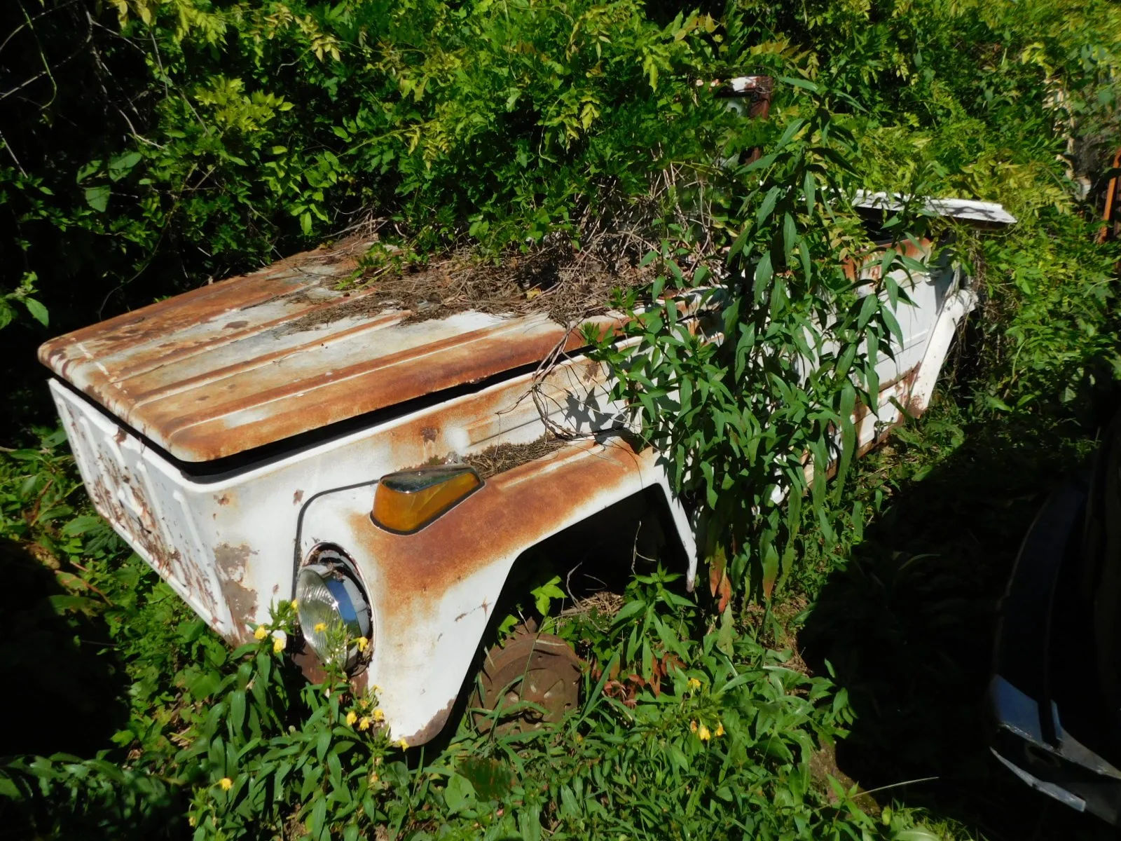 DSCN9686.JPG