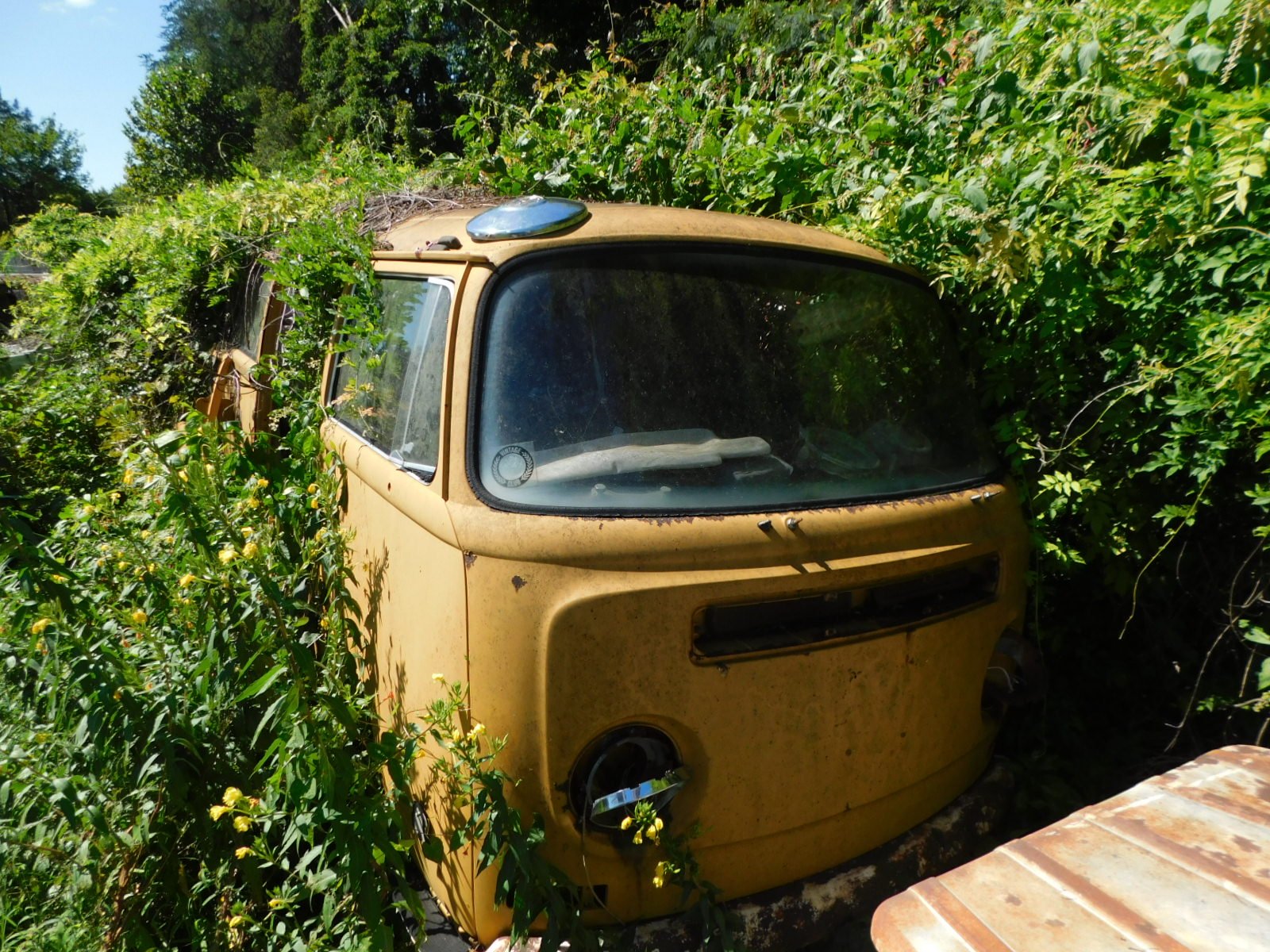 DSCN9689.JPG