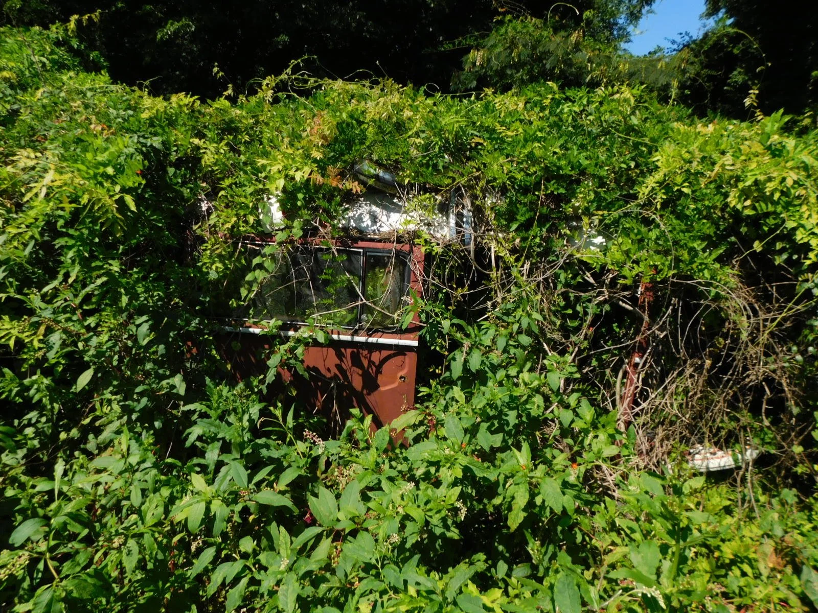 DSCN9693.JPG