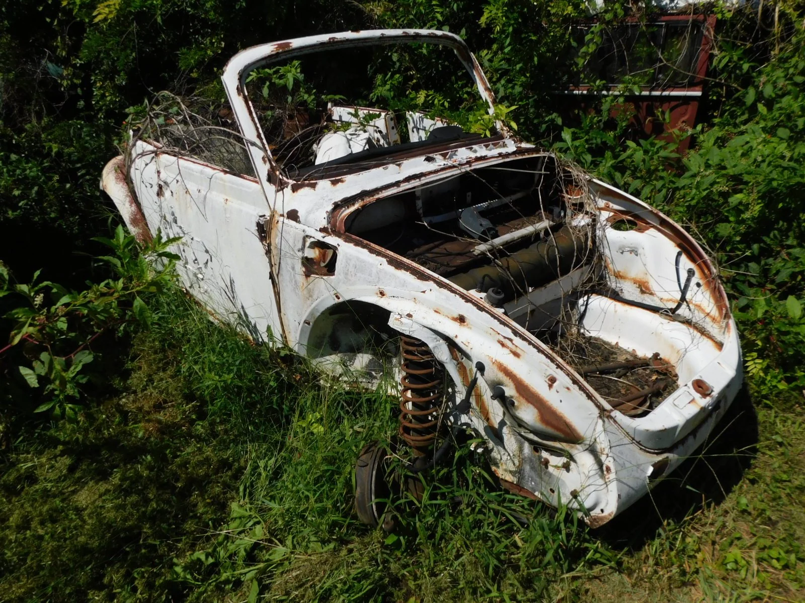 DSCN9694.JPG