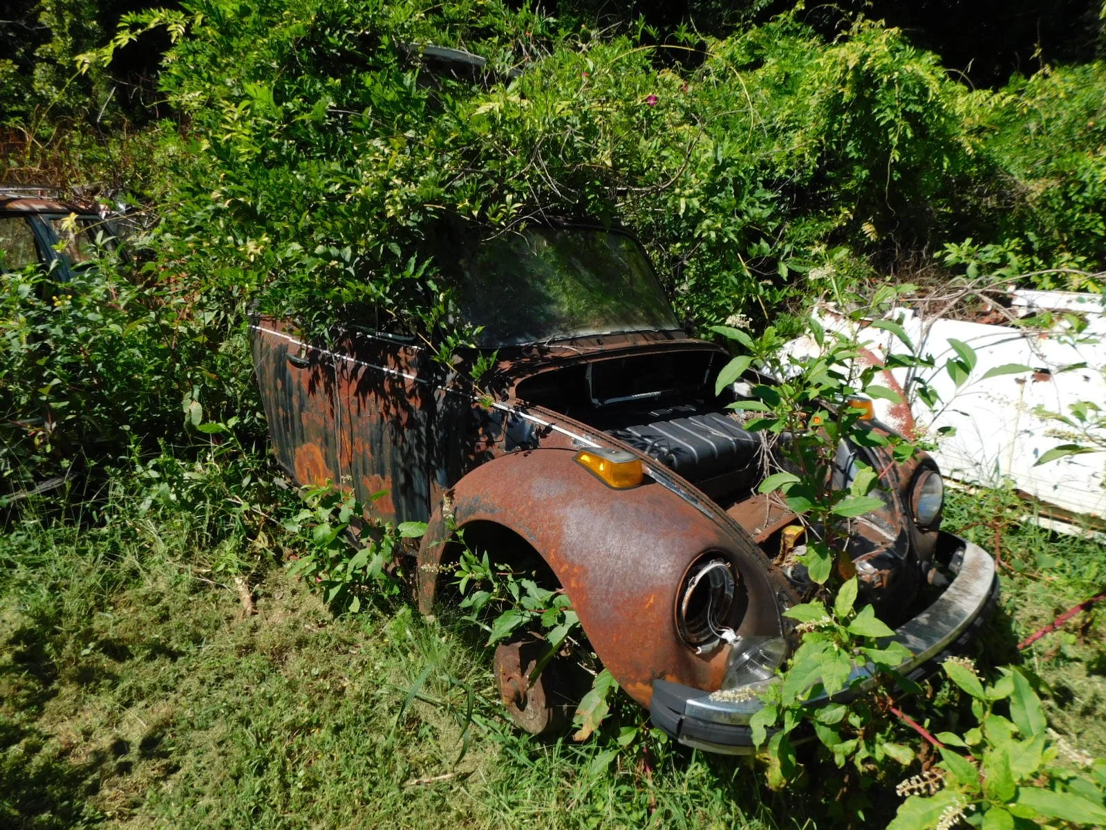 DSCN9697.JPG