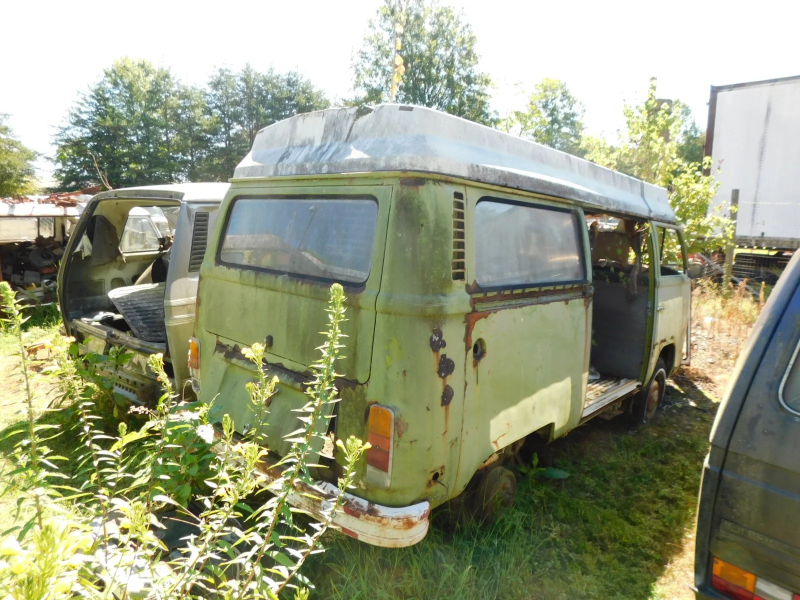 DSCN9705.JPG