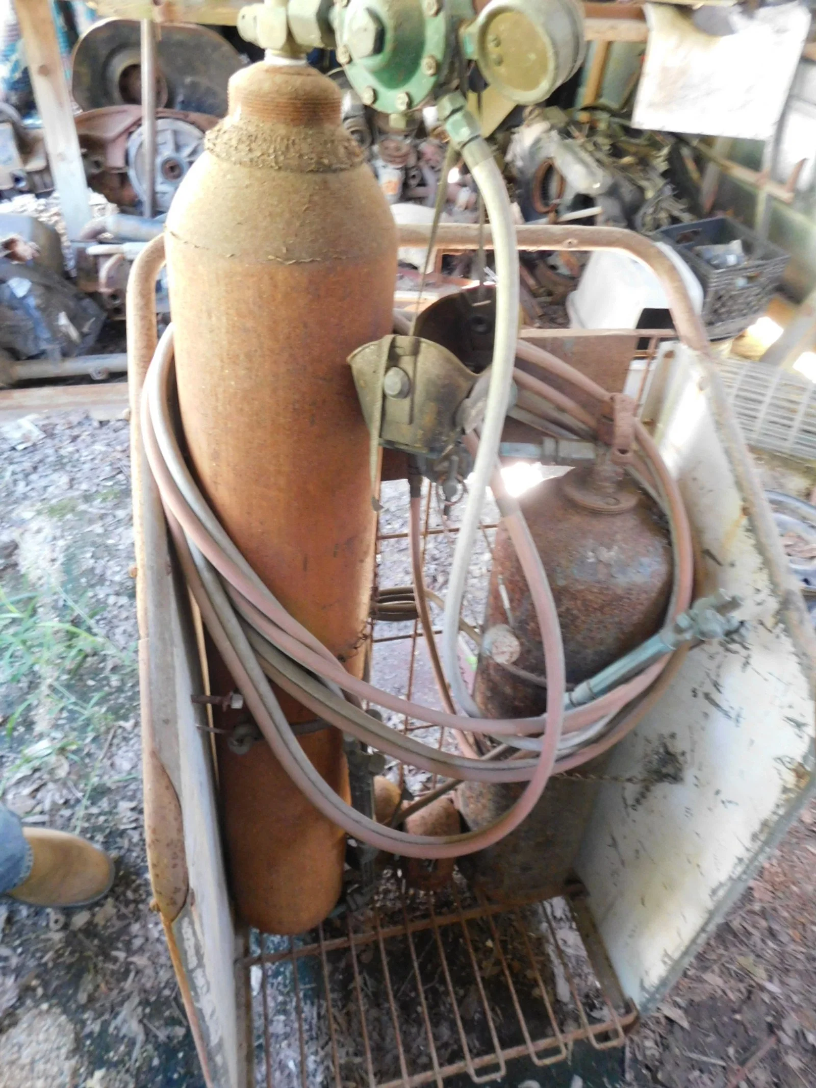 DSCN9716.JPG