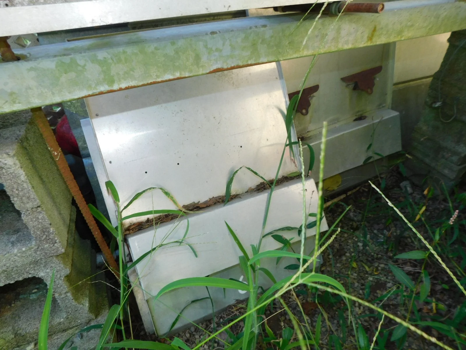 DSCN9724.JPG