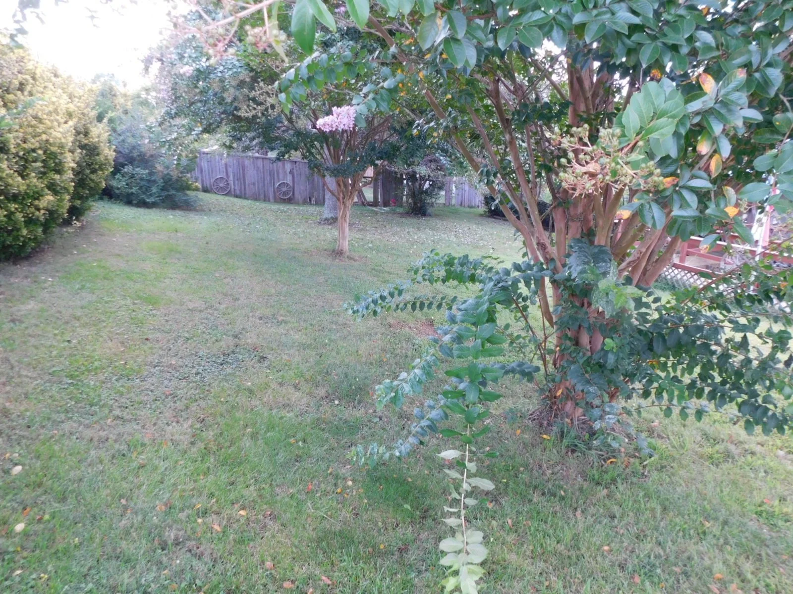 DSCN9851.JPG