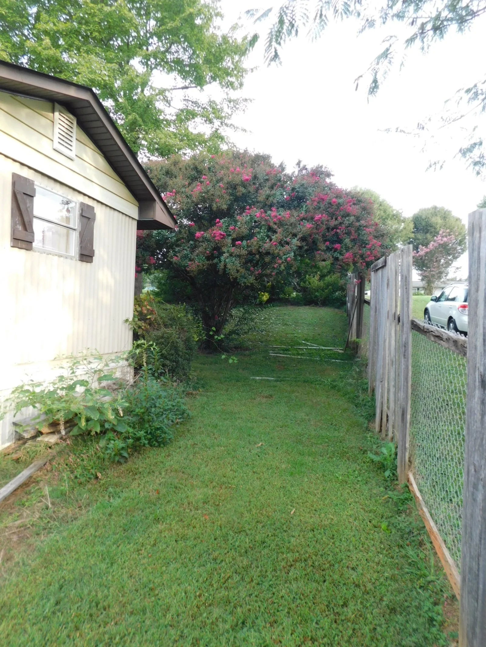 DSCN9867.JPG