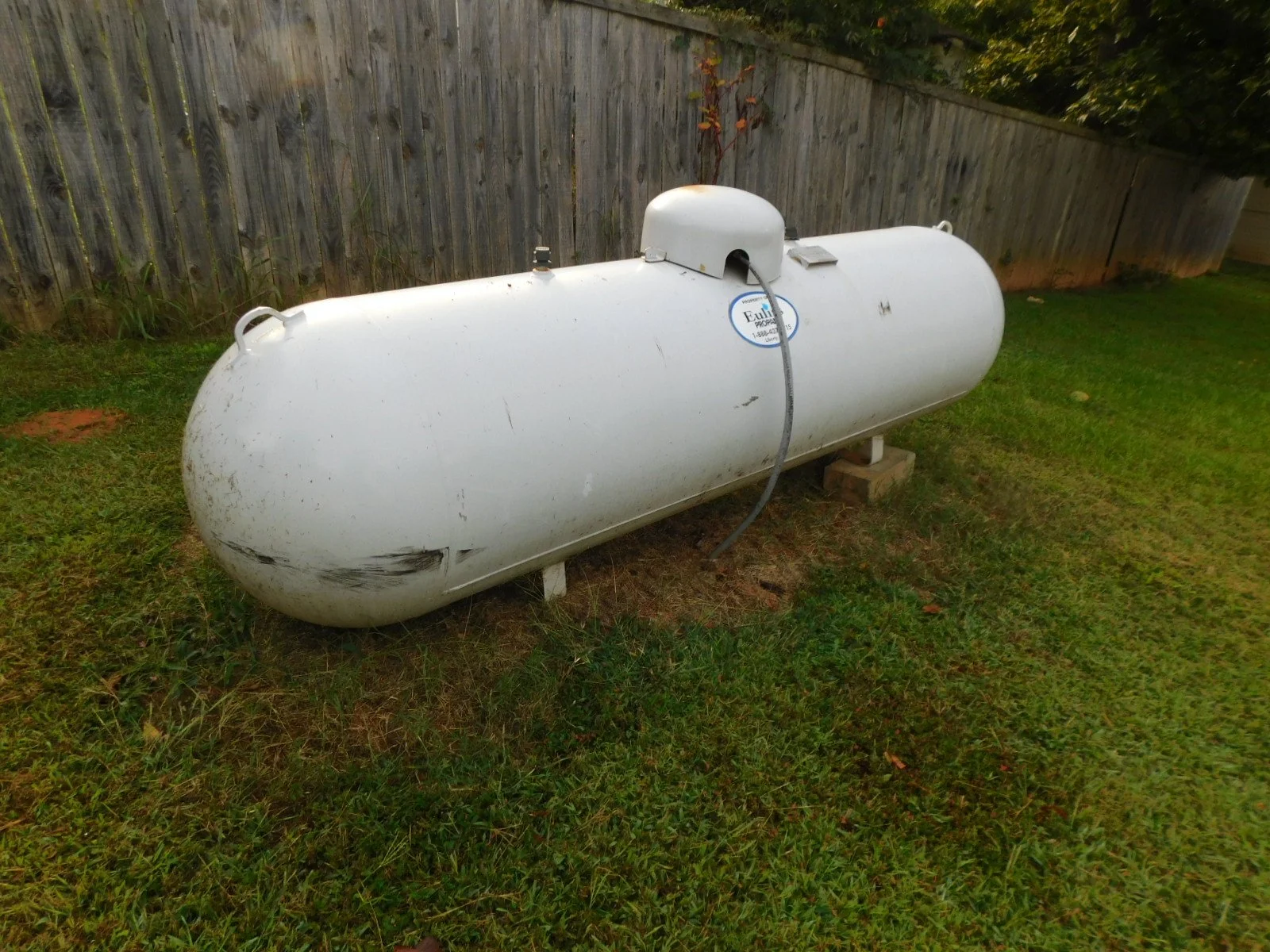 DSCN9870.JPG