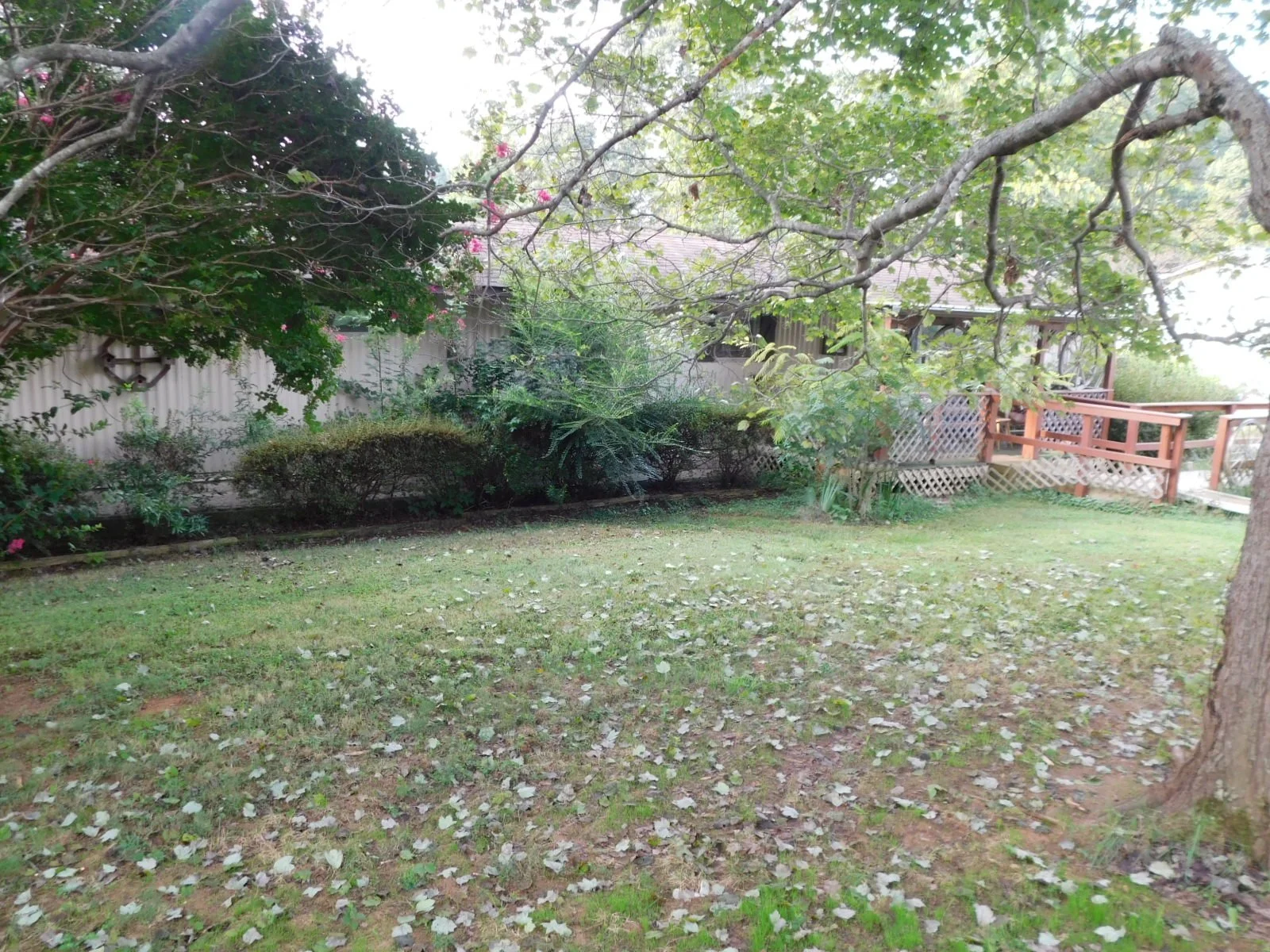 DSCN9880.JPG