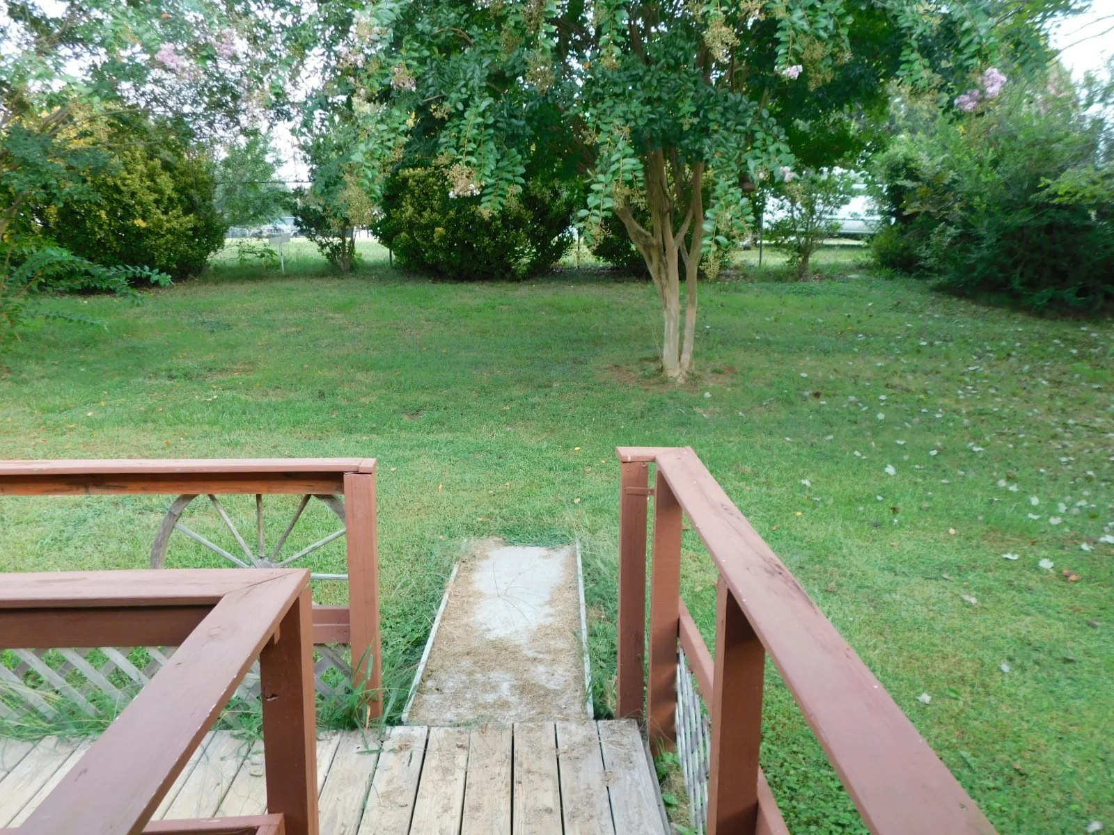 DSCN9881.JPG