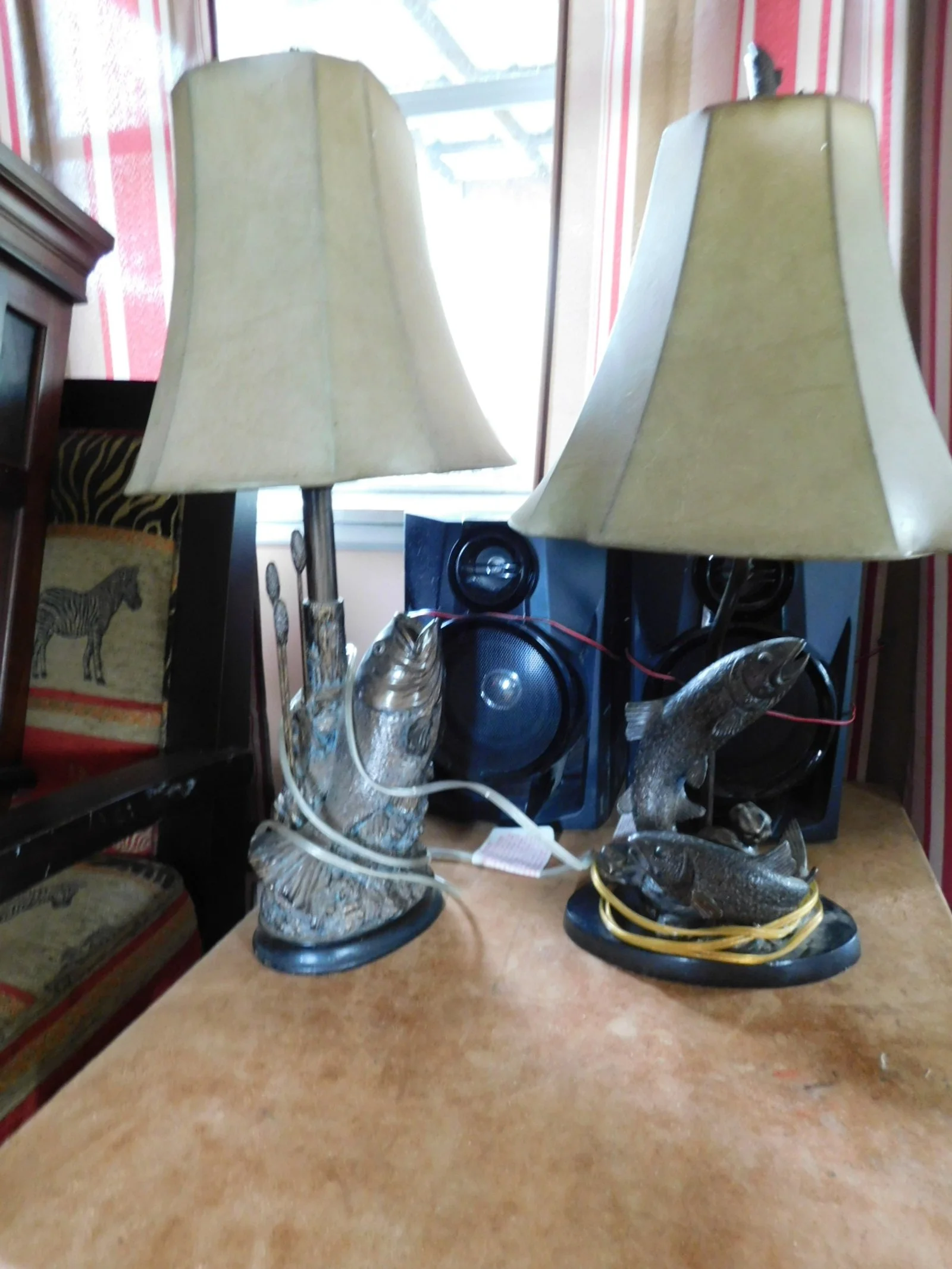 DSCN9955.JPG