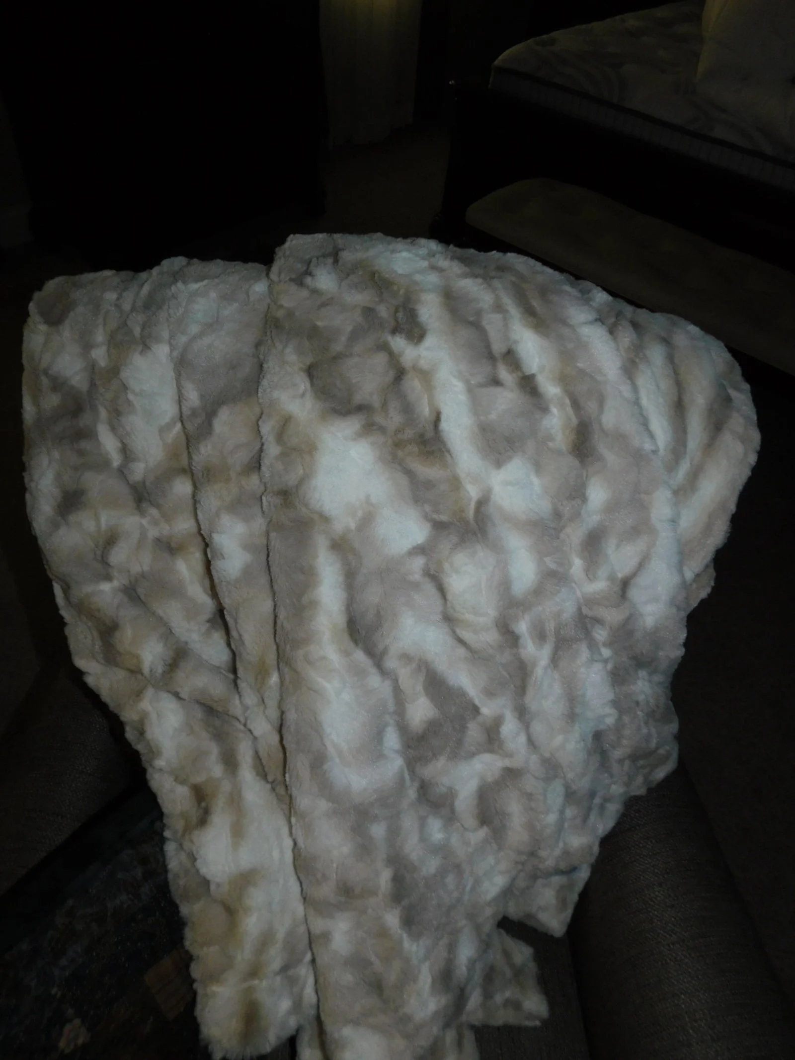 DSCN0529.JPG