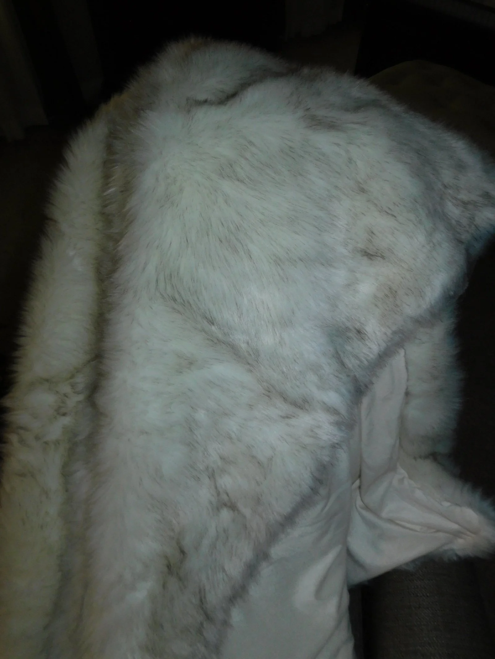 DSCN0530.JPG