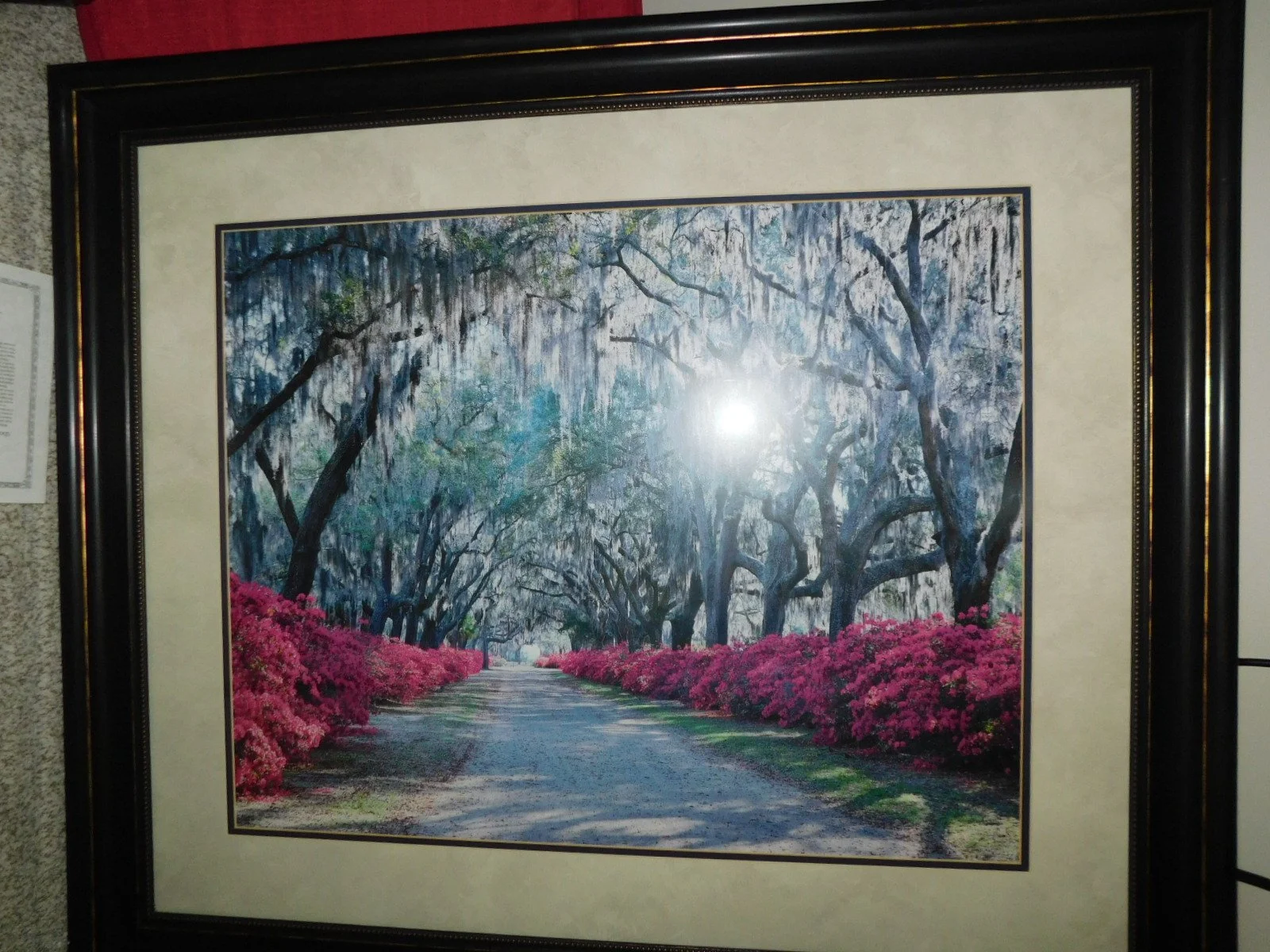 DSCN0537.JPG