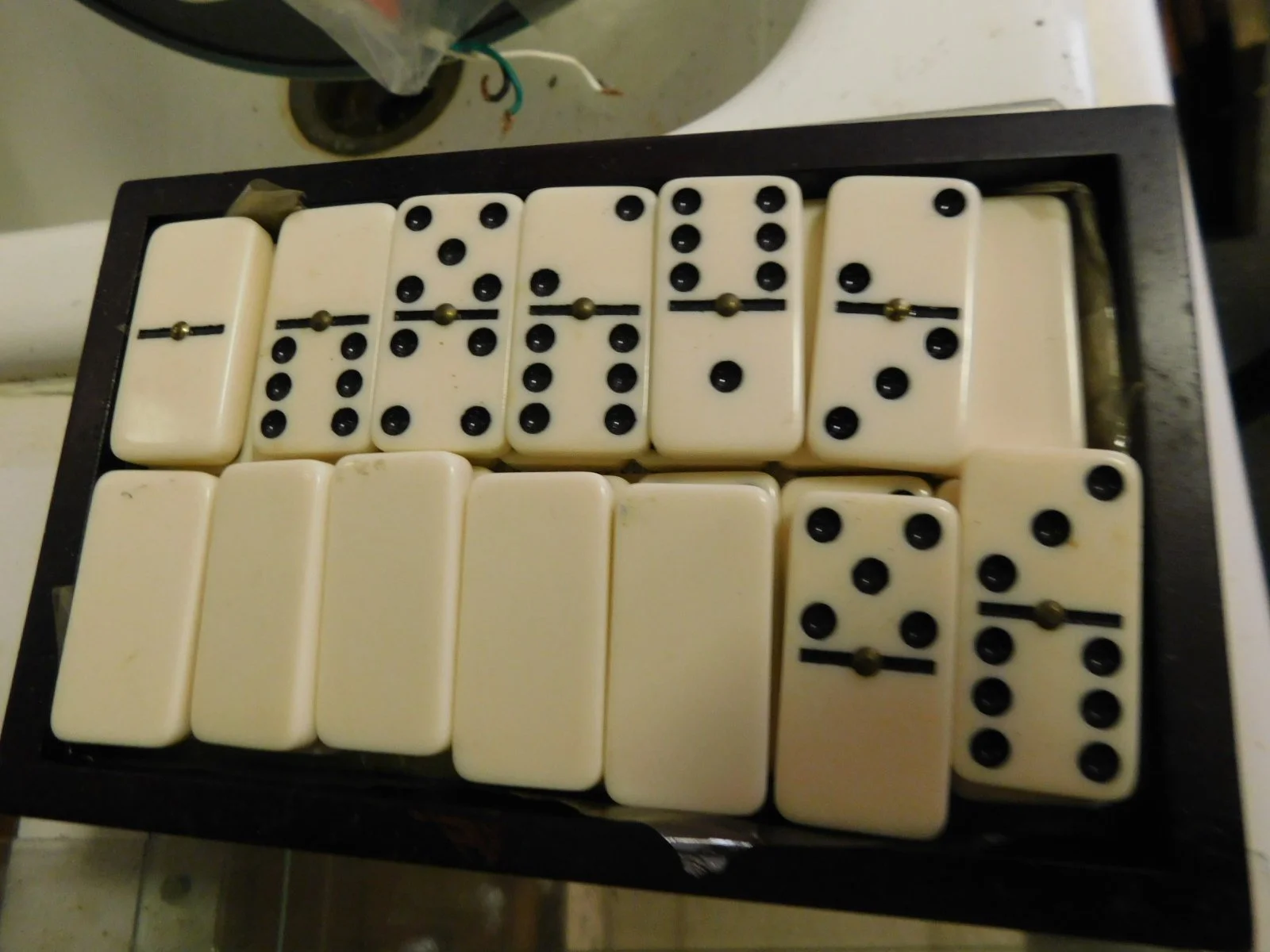 DSCN0585.JPG