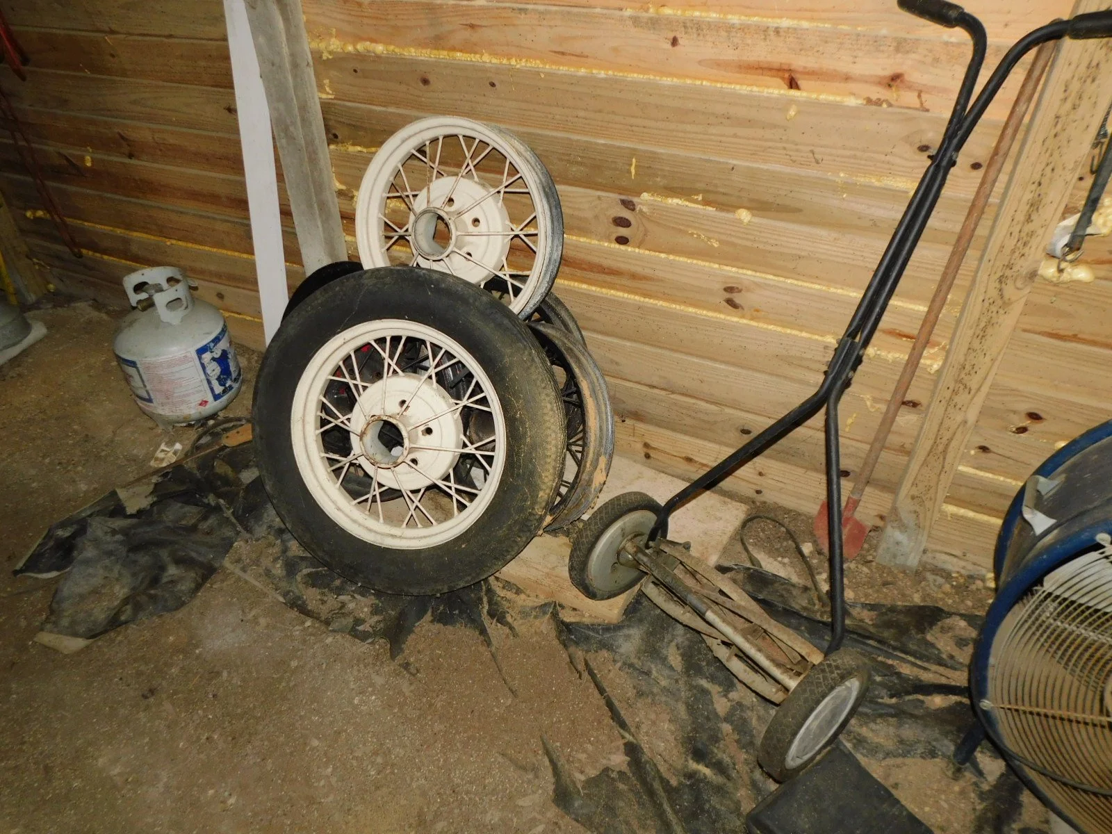DSCN0595.JPG