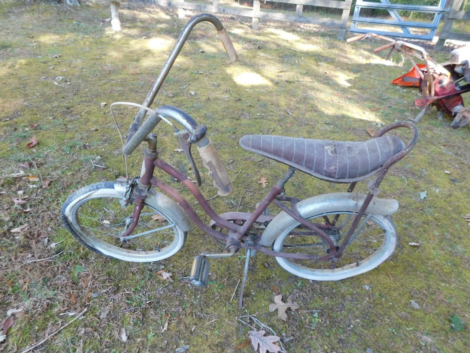 DSCN1218.JPG