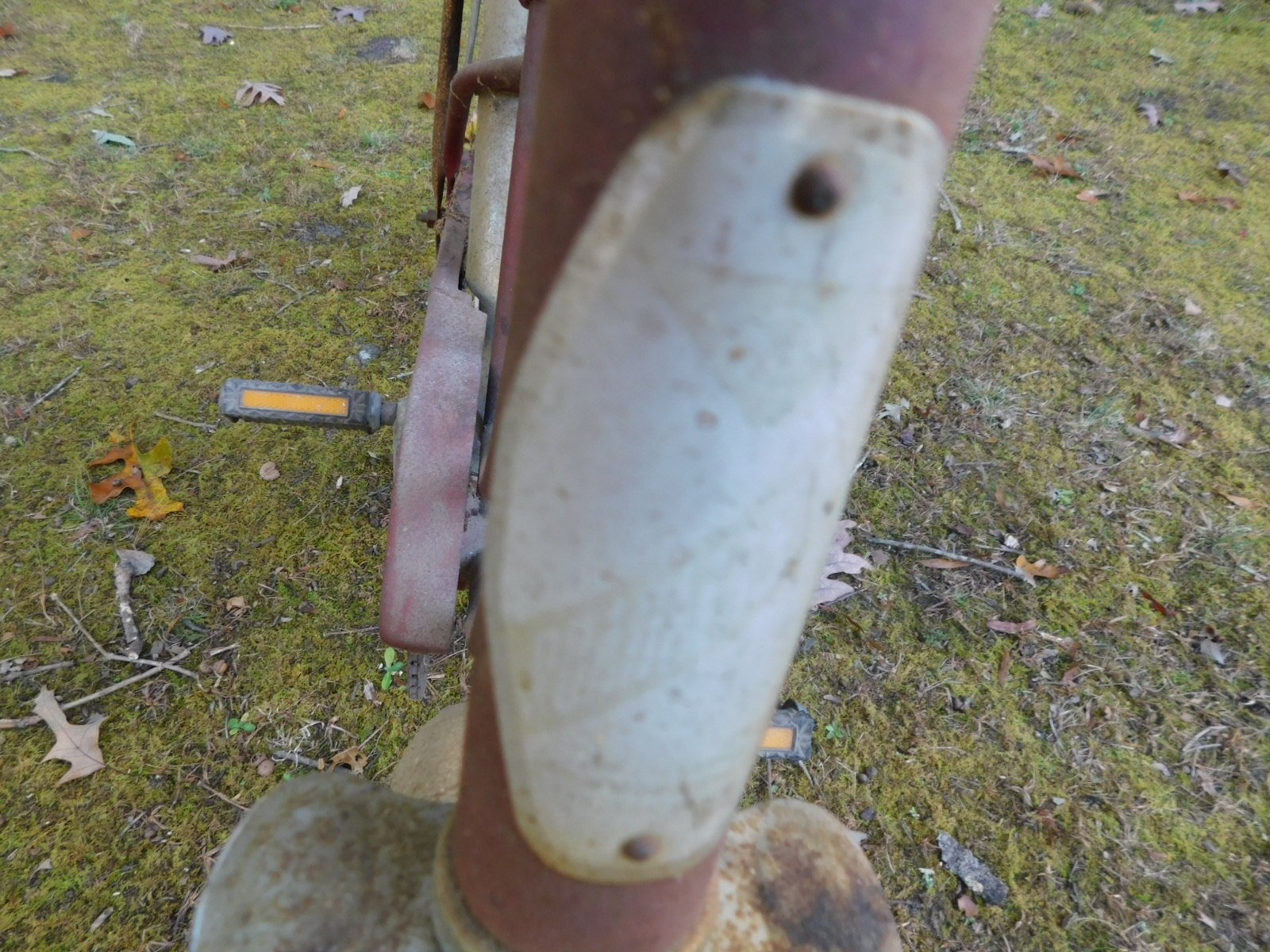 DSCN1219.JPG