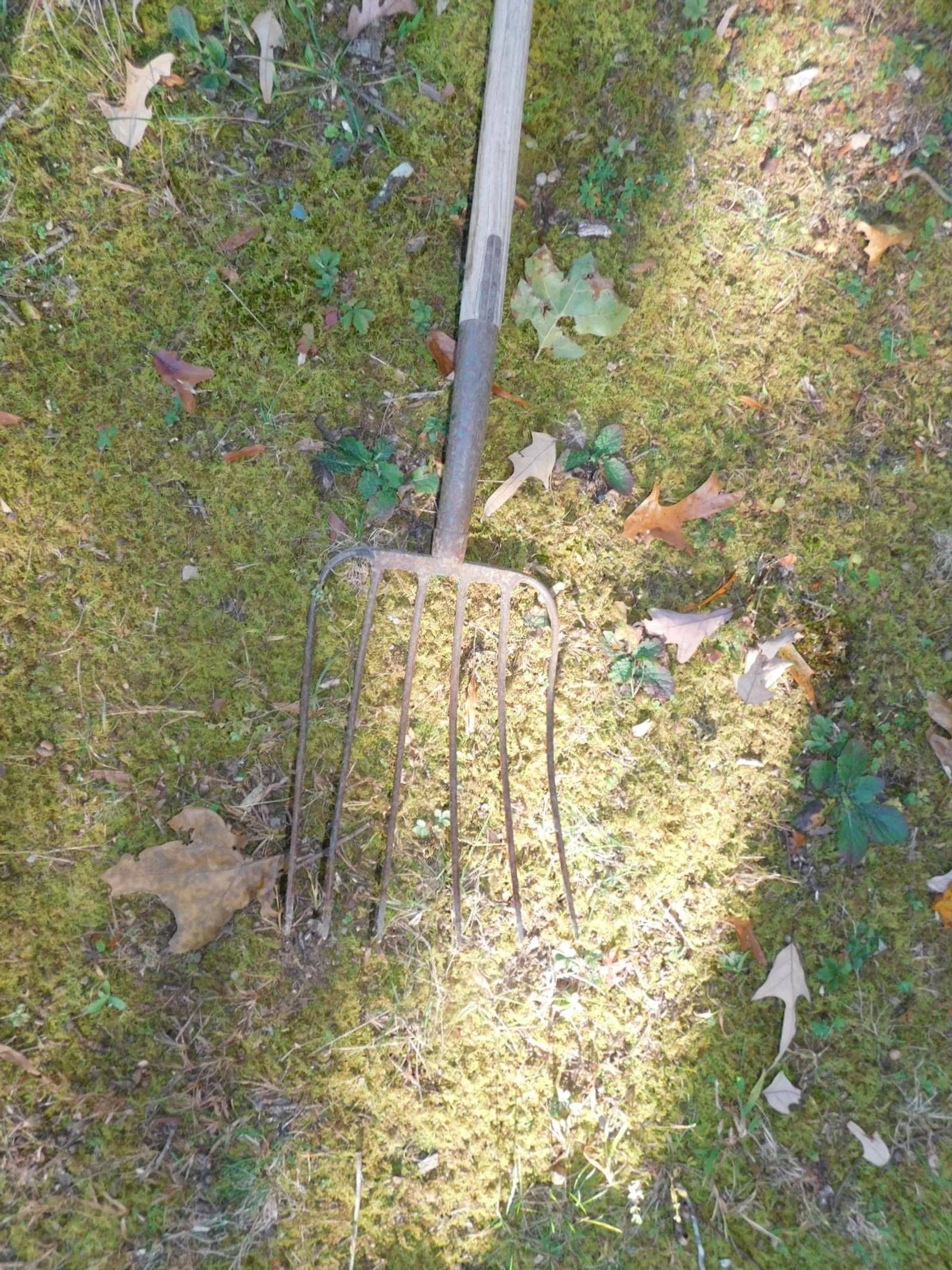 DSCN1226.JPG