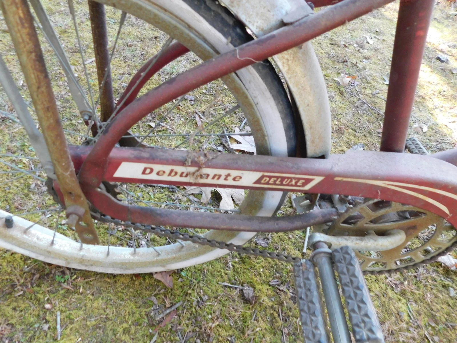 DSCN1229.JPG