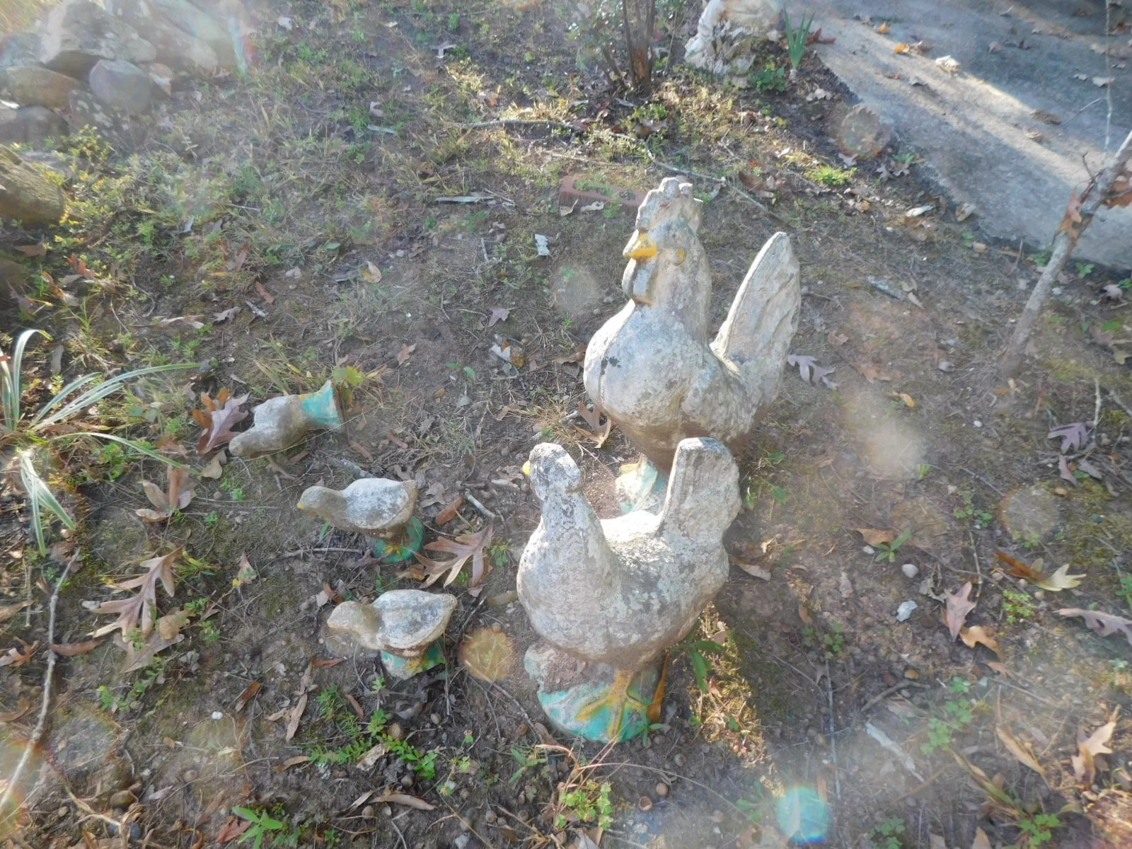DSCN1280.JPG