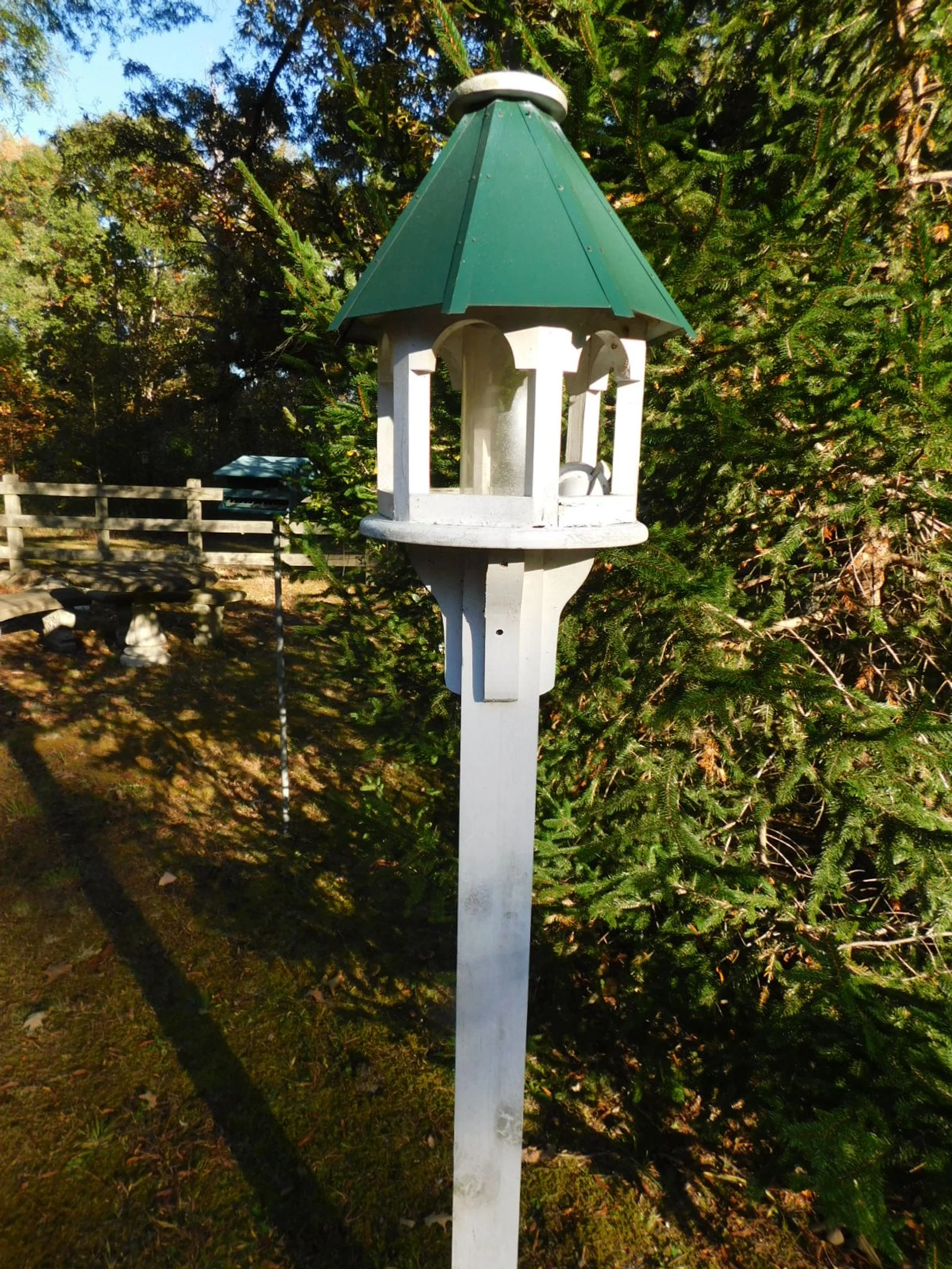 DSCN1286.JPG