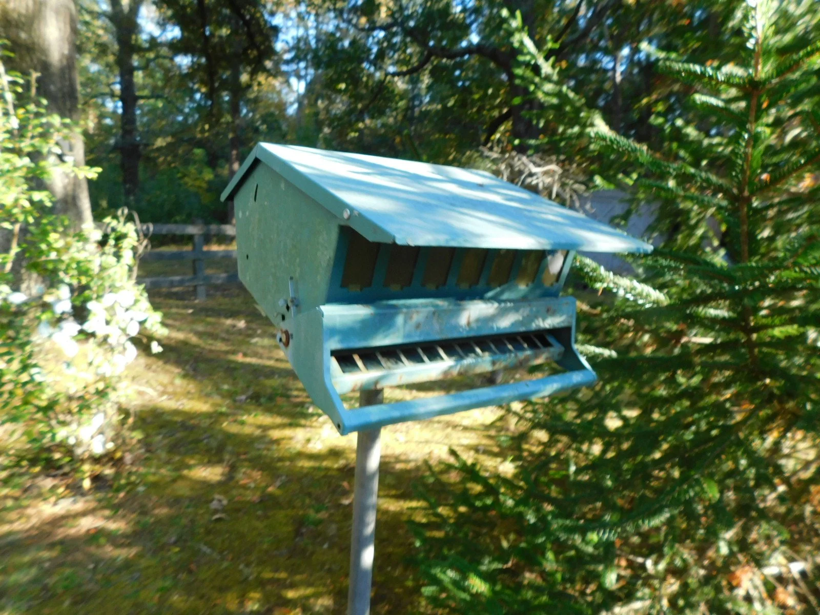 DSCN1287.JPG