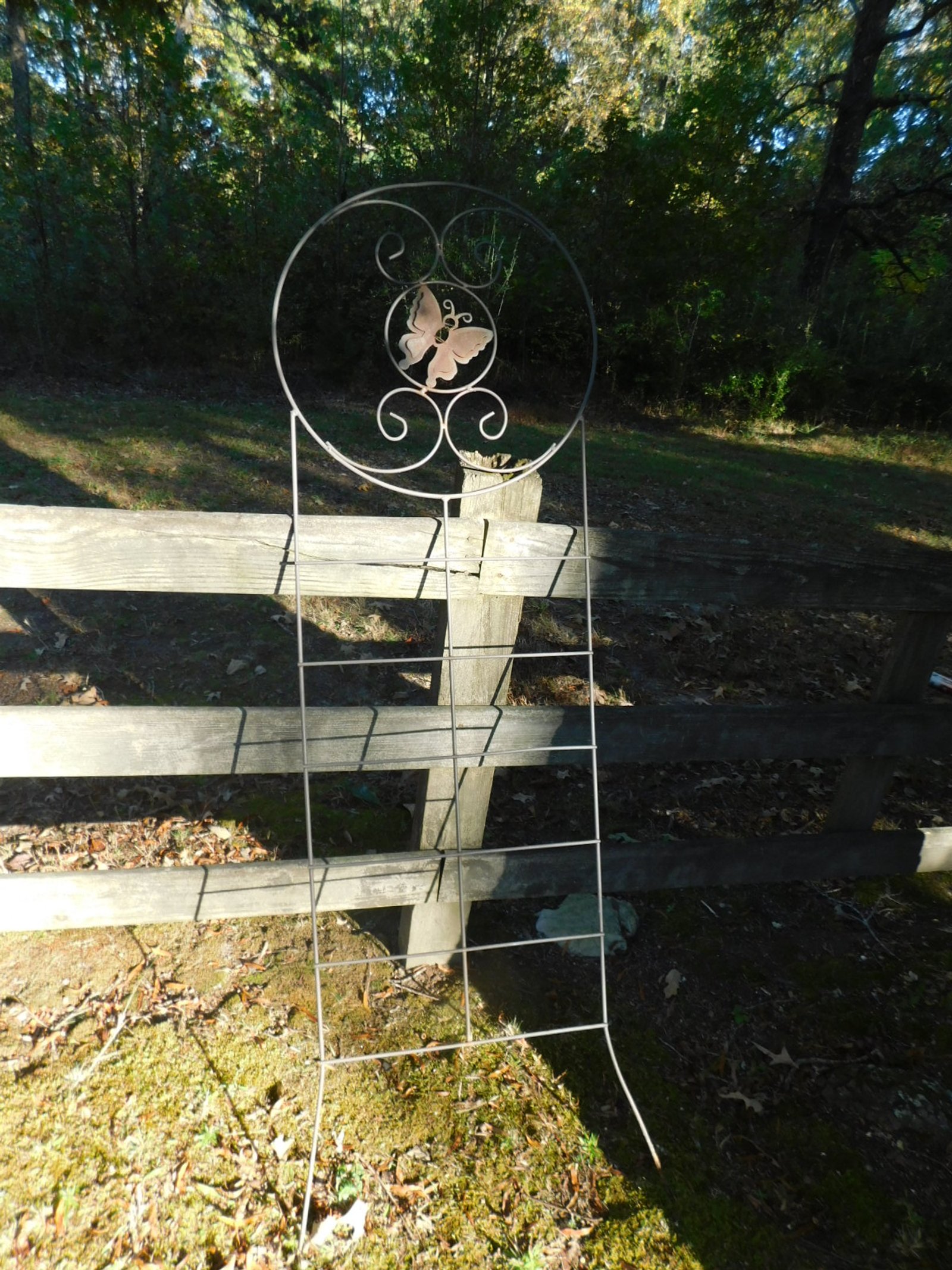 DSCN1289.JPG