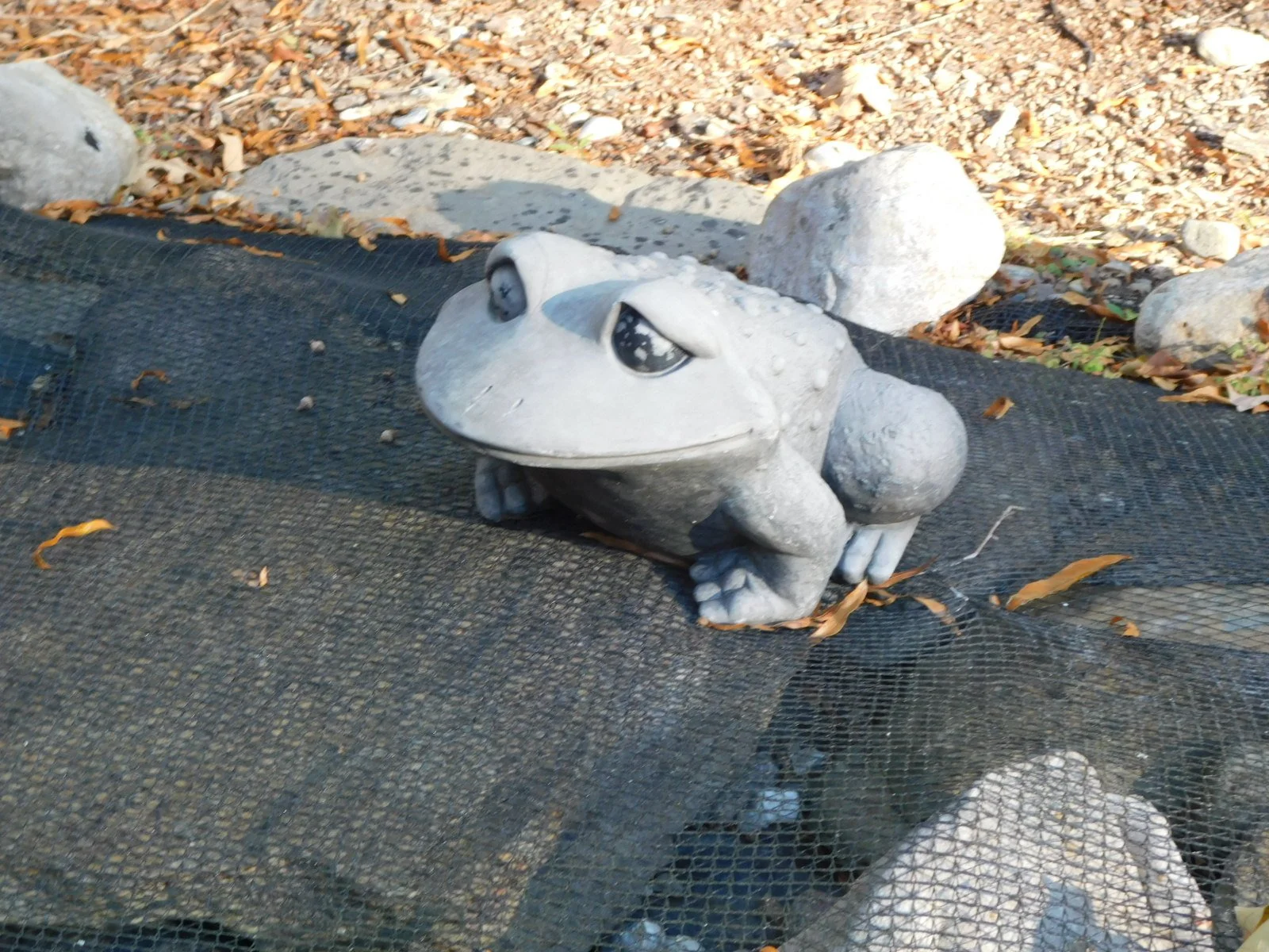 DSCN1292.JPG