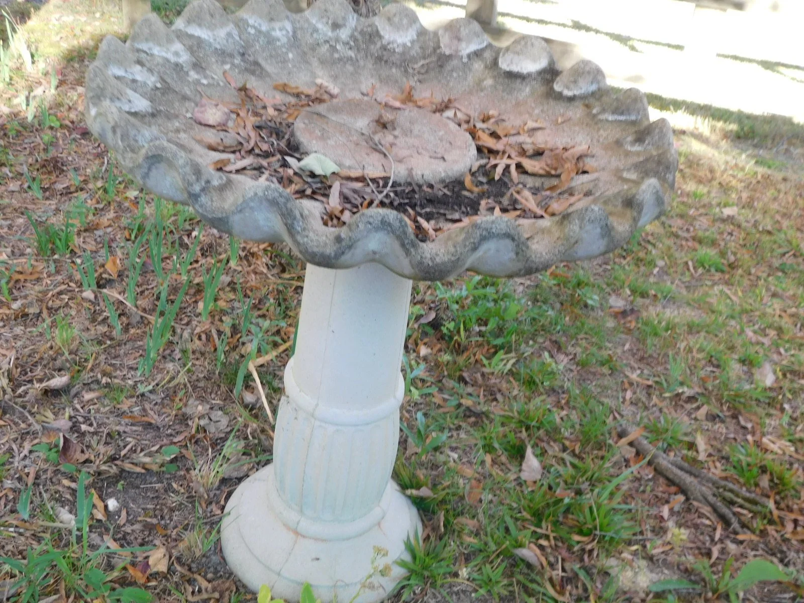 DSCN1297.JPG
