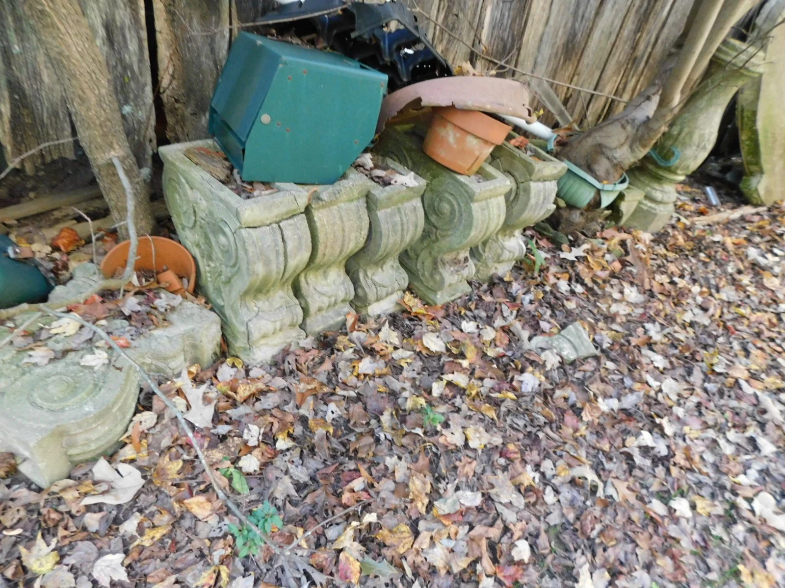 DSCN1317.JPG