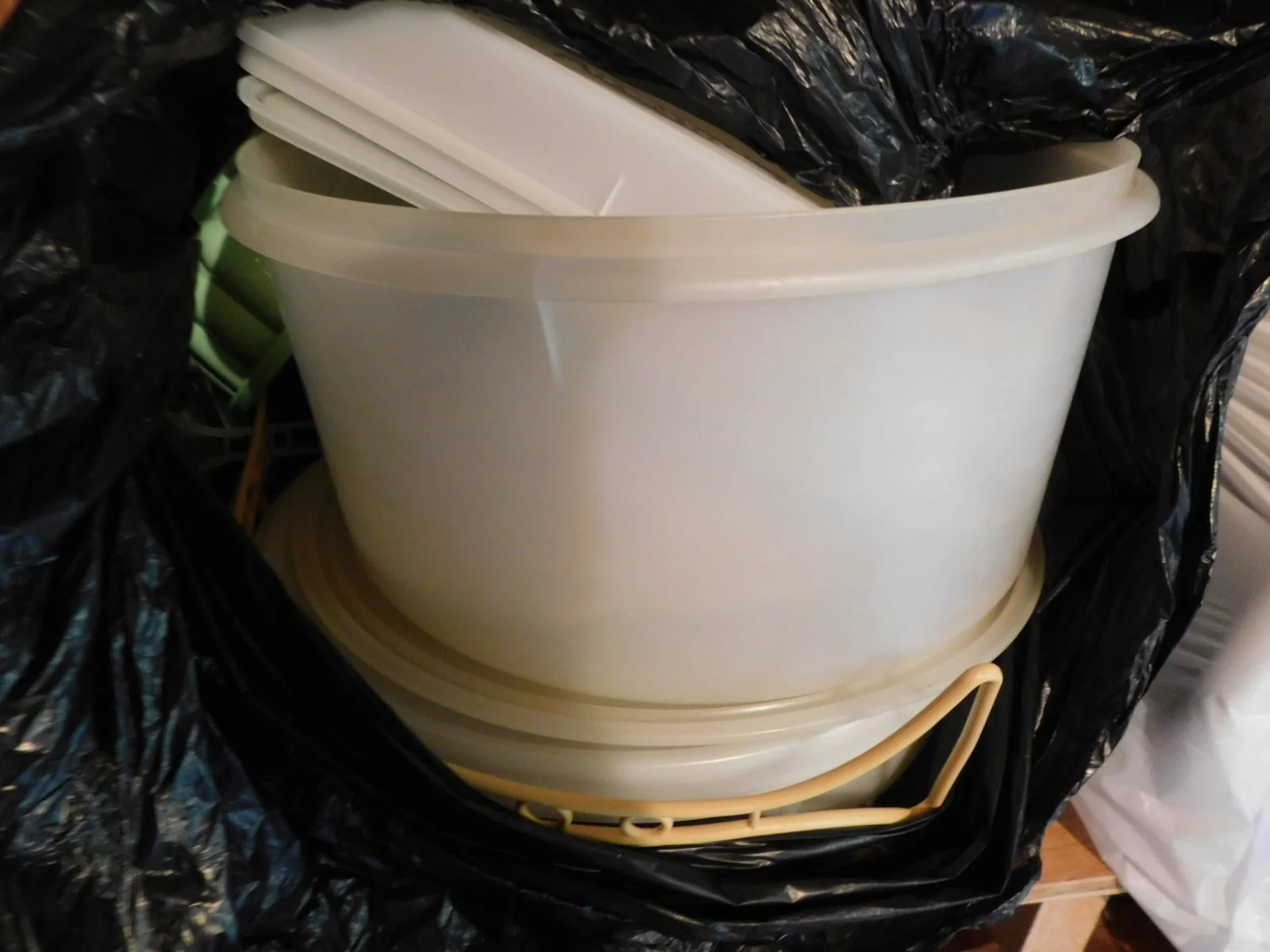 DSCN1337.JPG