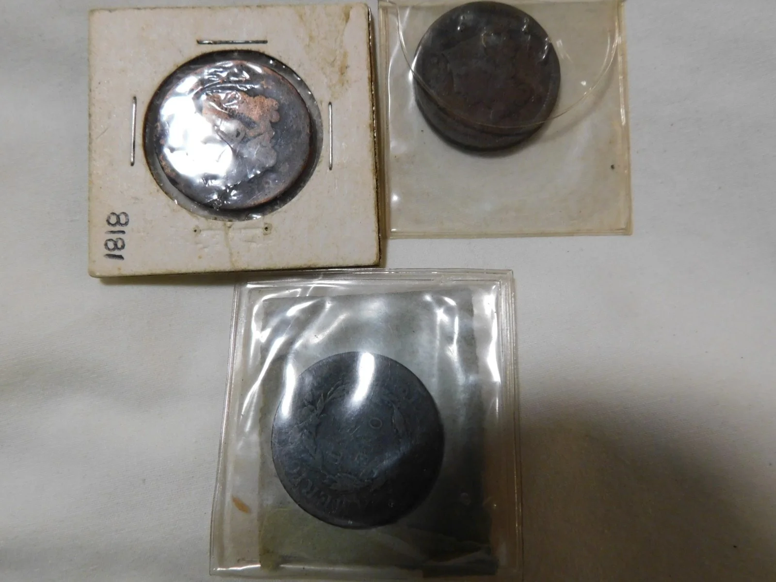DSCN1379.JPG