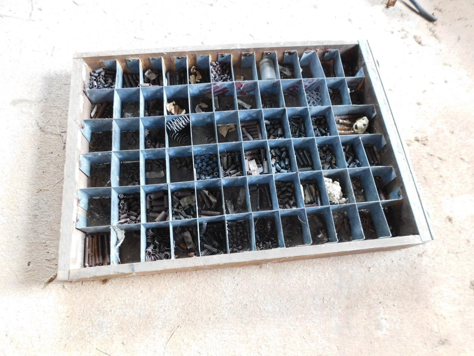 DSCN1705.JPG