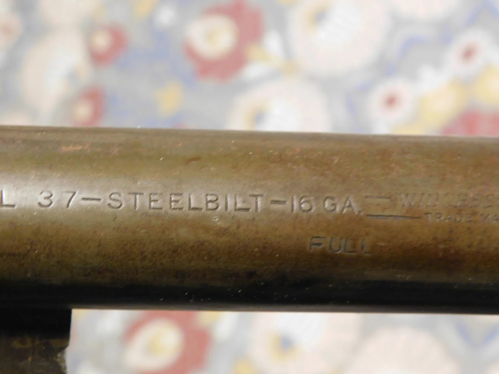 DSCN1902.JPG
