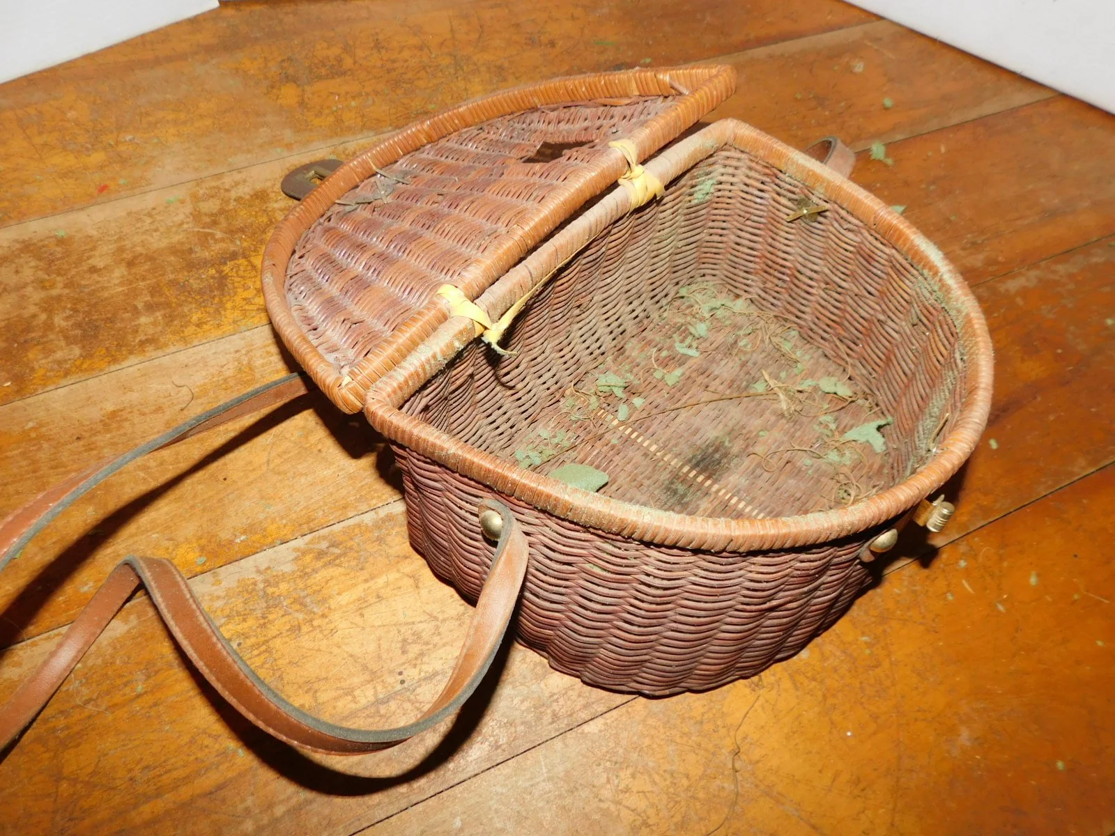 DSCN2413.JPG