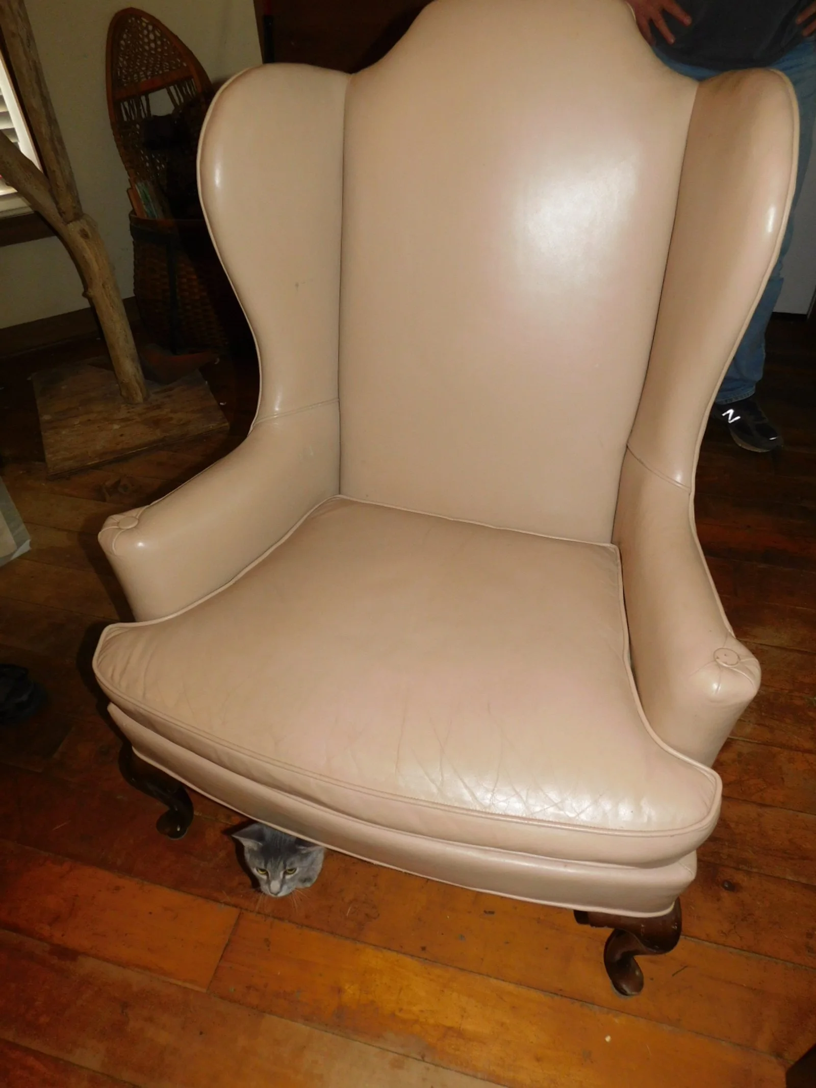 DSCN2461.JPG