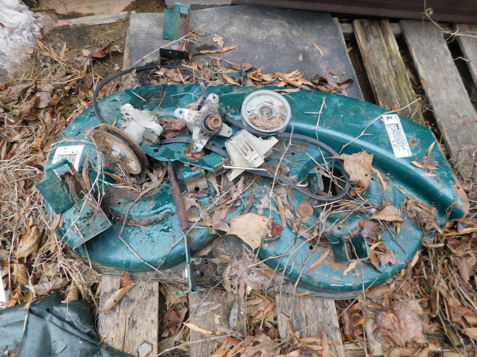 DSCN2516.JPG