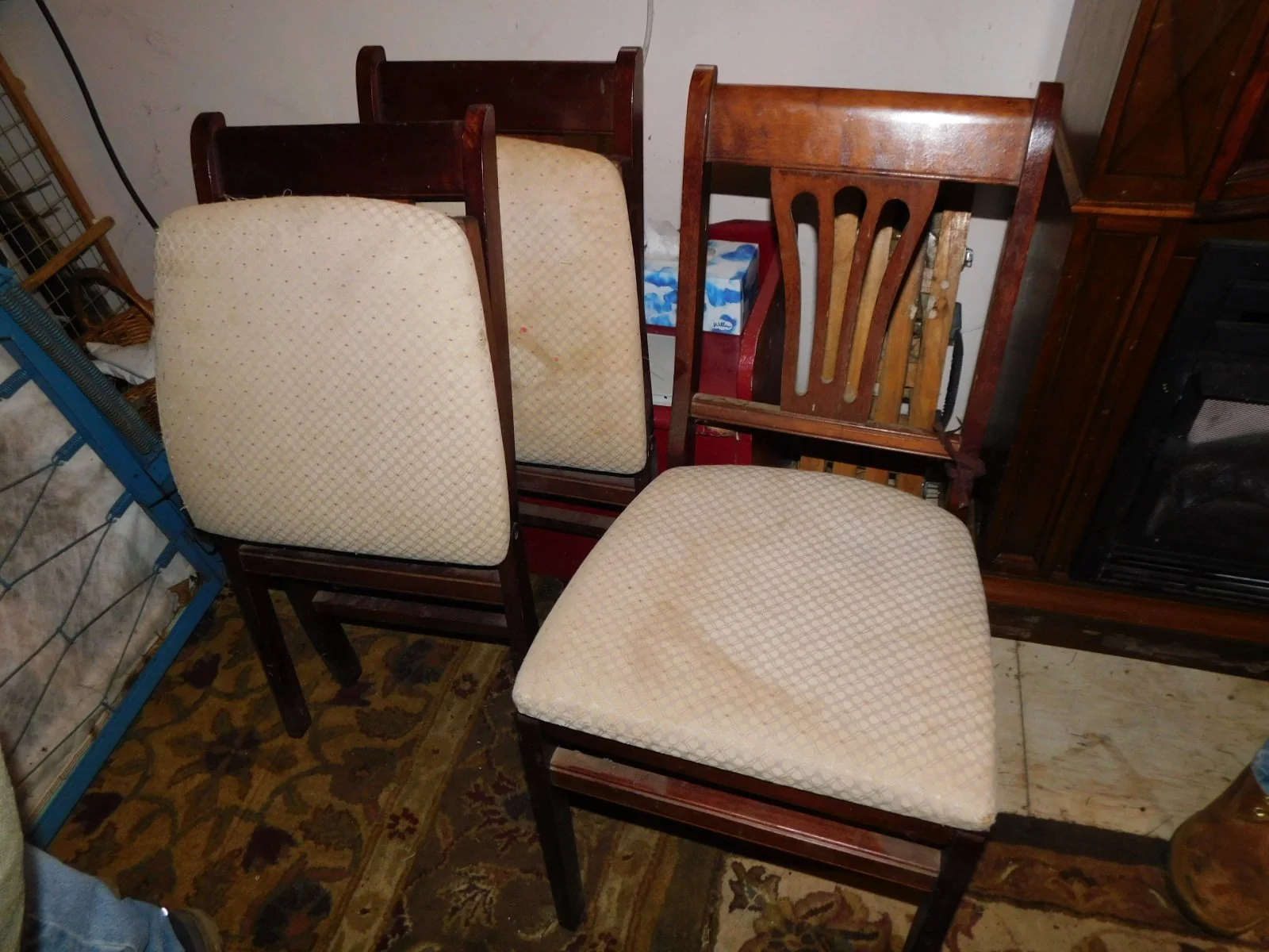 DSCN2558.JPG