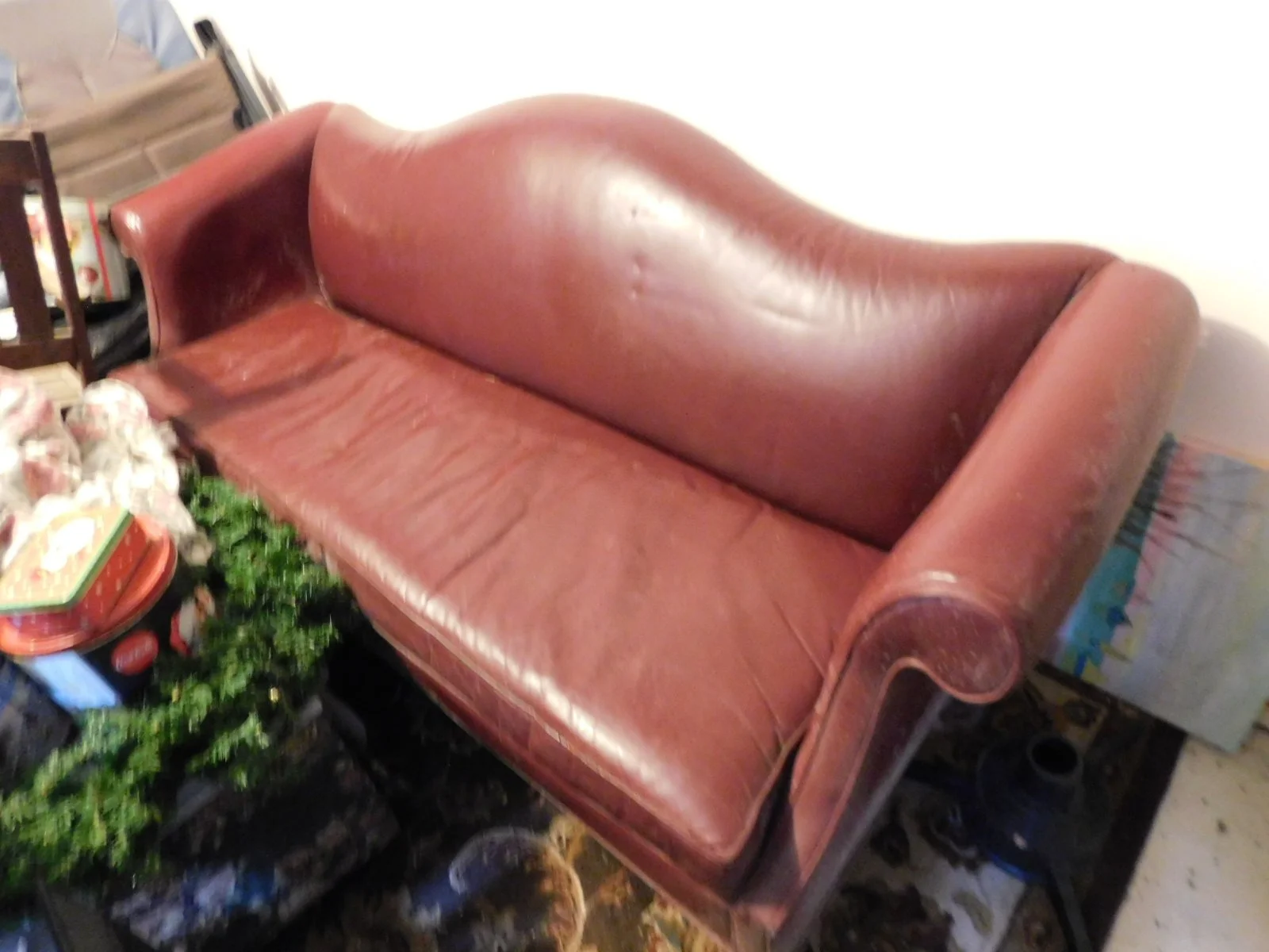 DSCN2568.JPG
