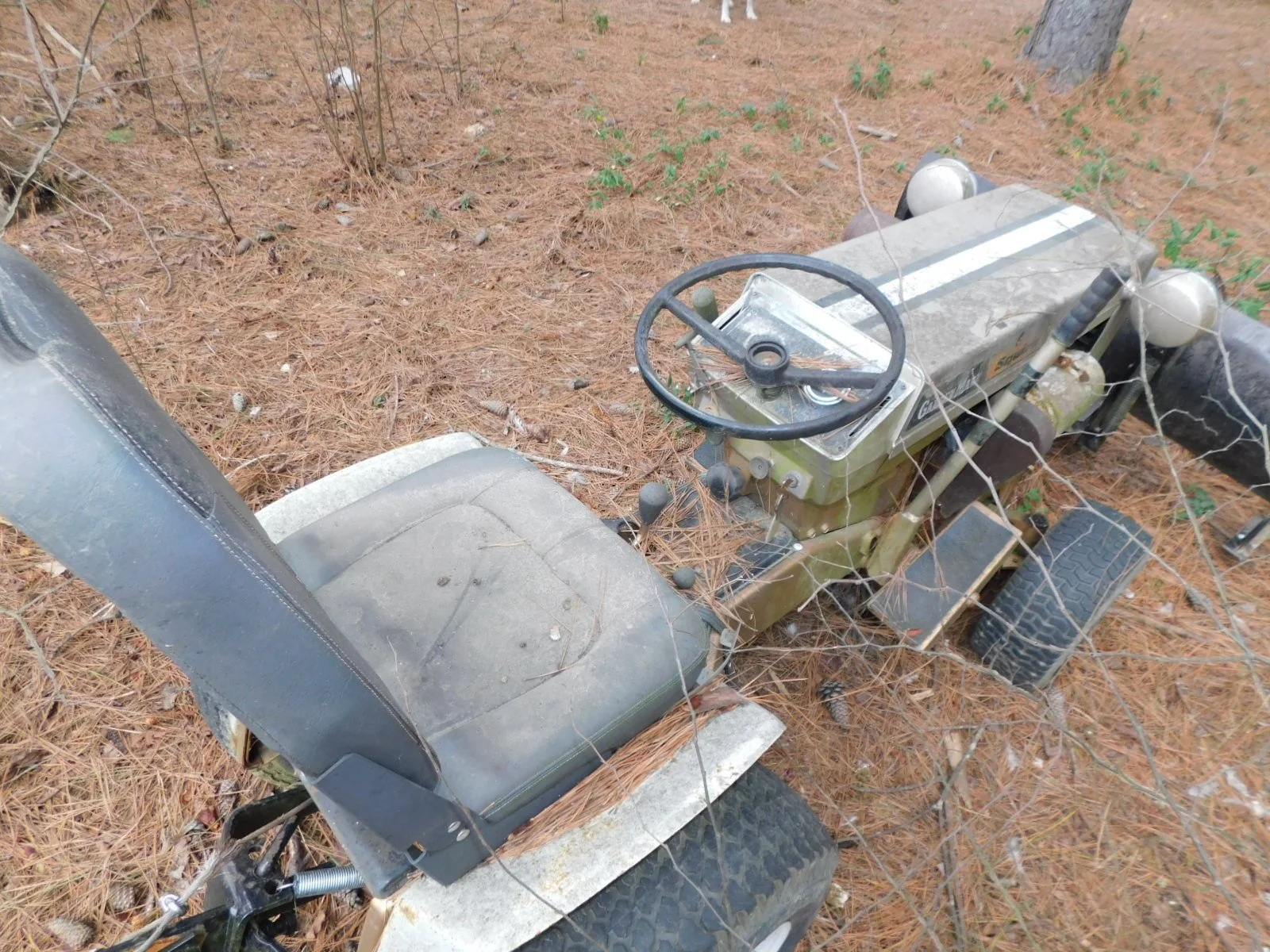 DSCN2606.JPG