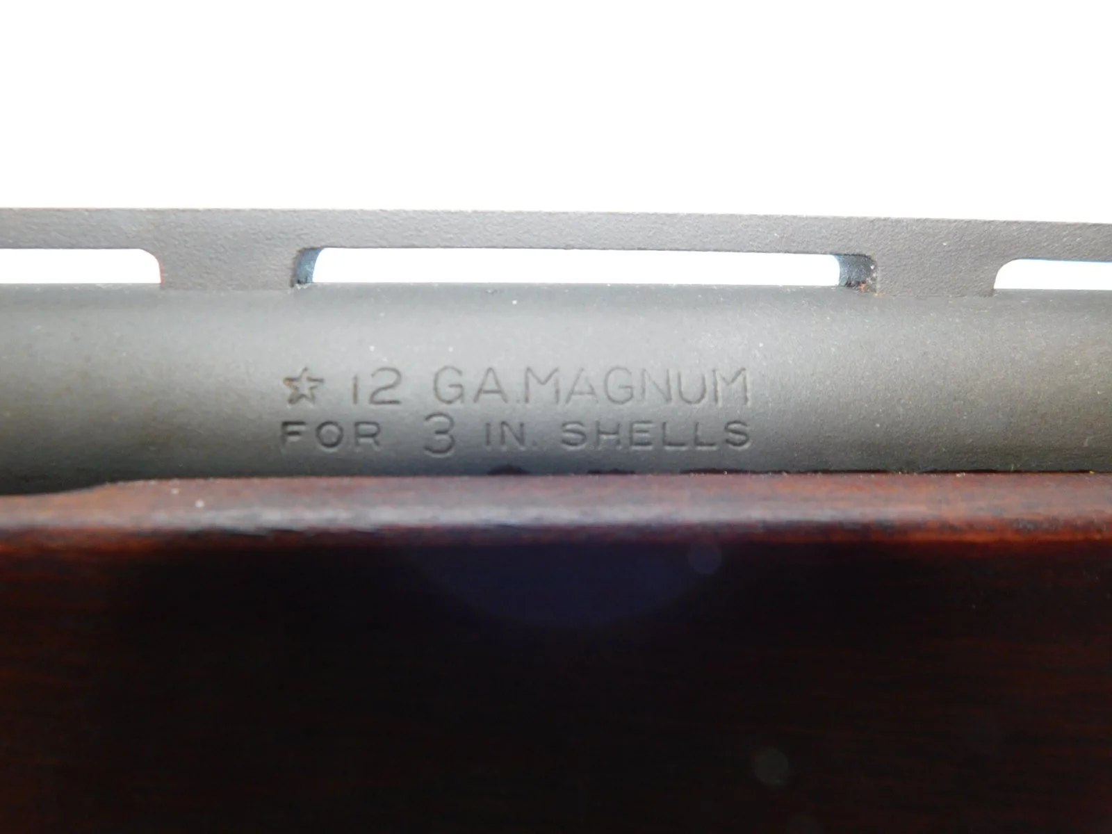 DSCN2769.JPG