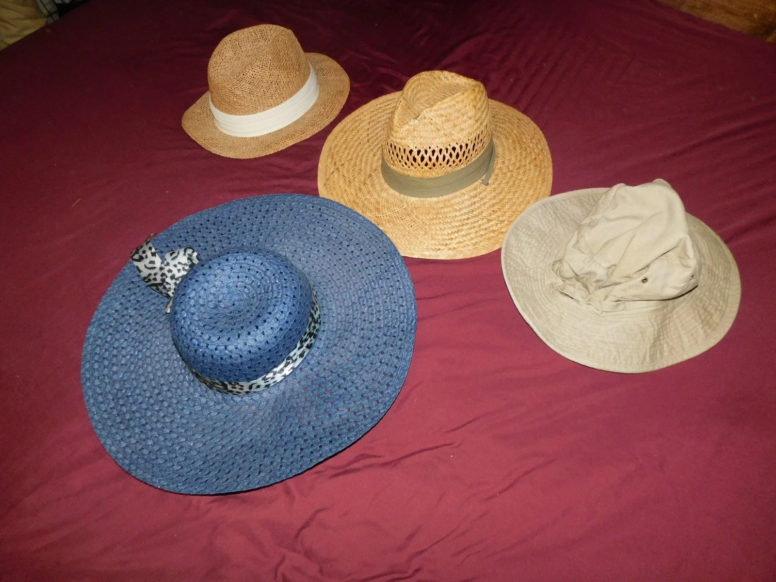 DSCN2813.JPG