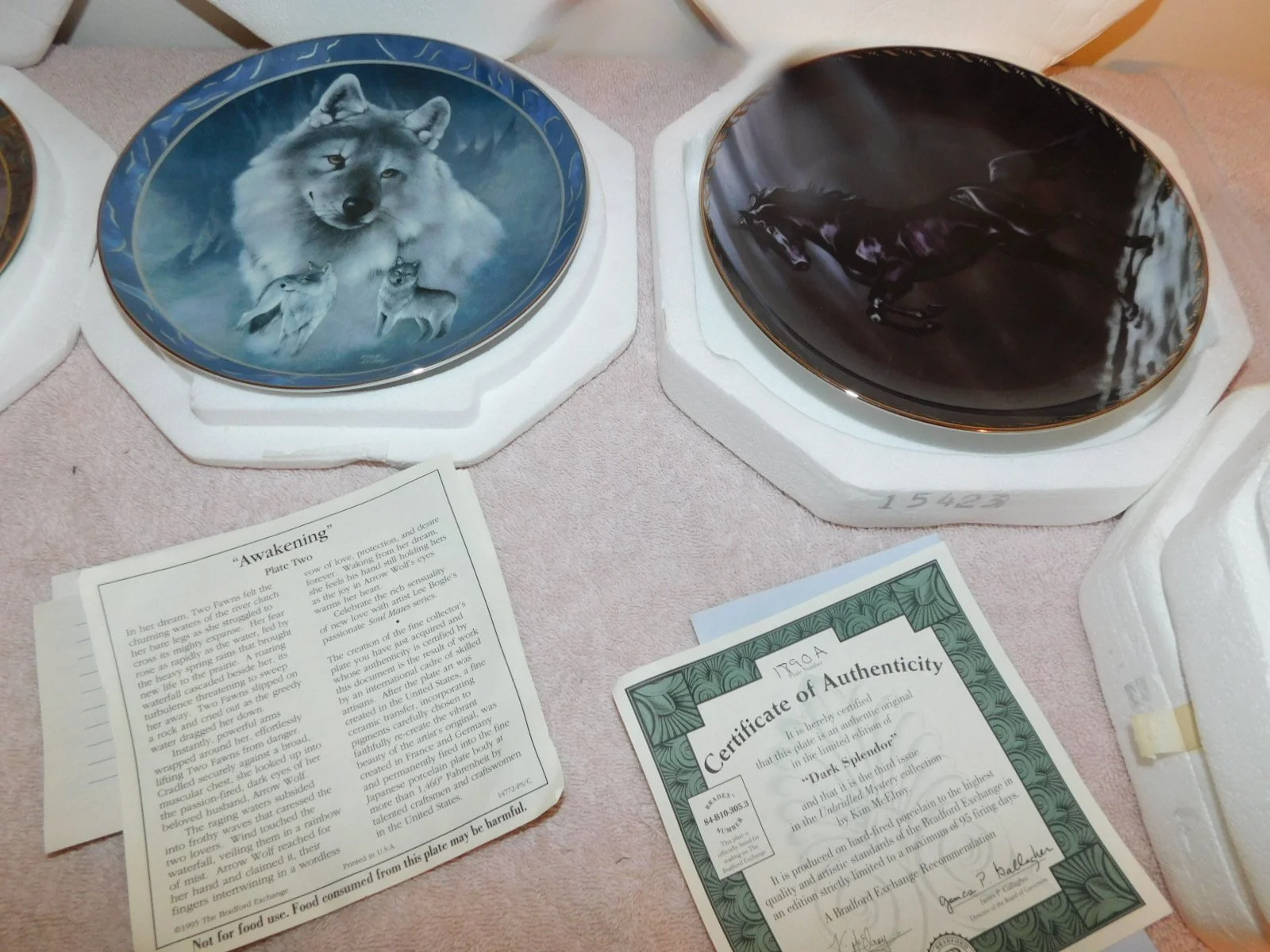 DSCN2888.JPG