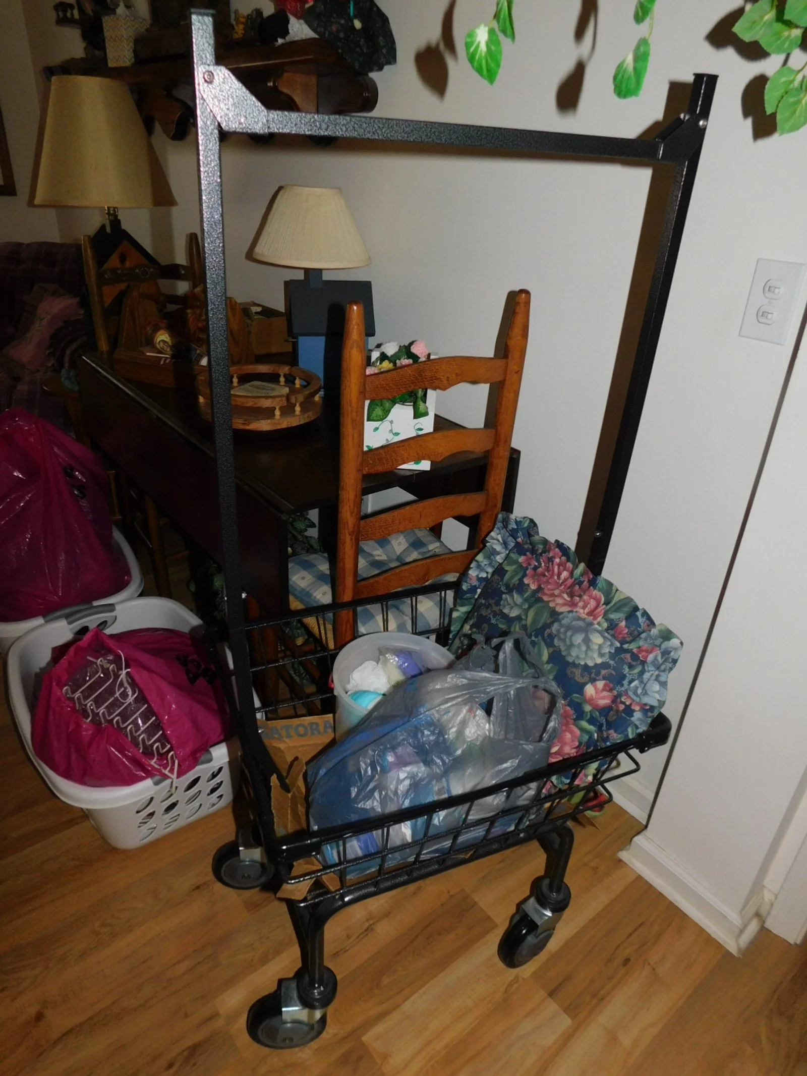 DSCN2955.JPG