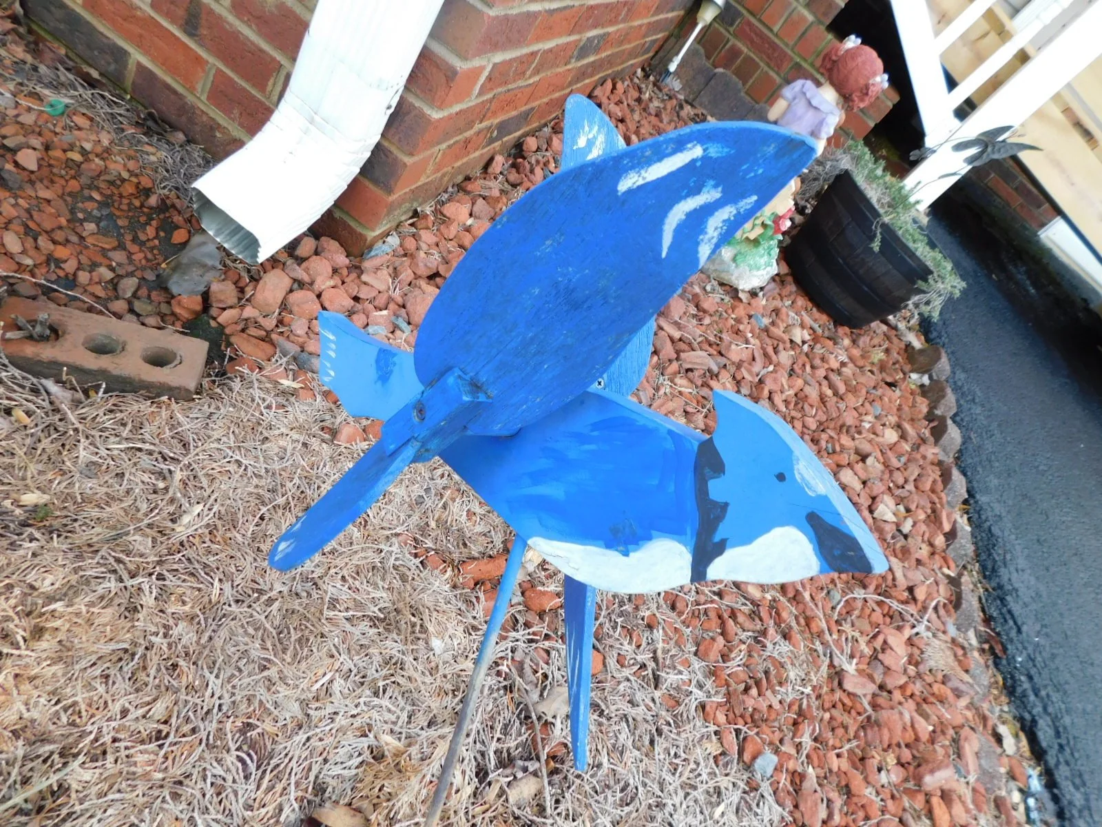 DSCN3116.JPG