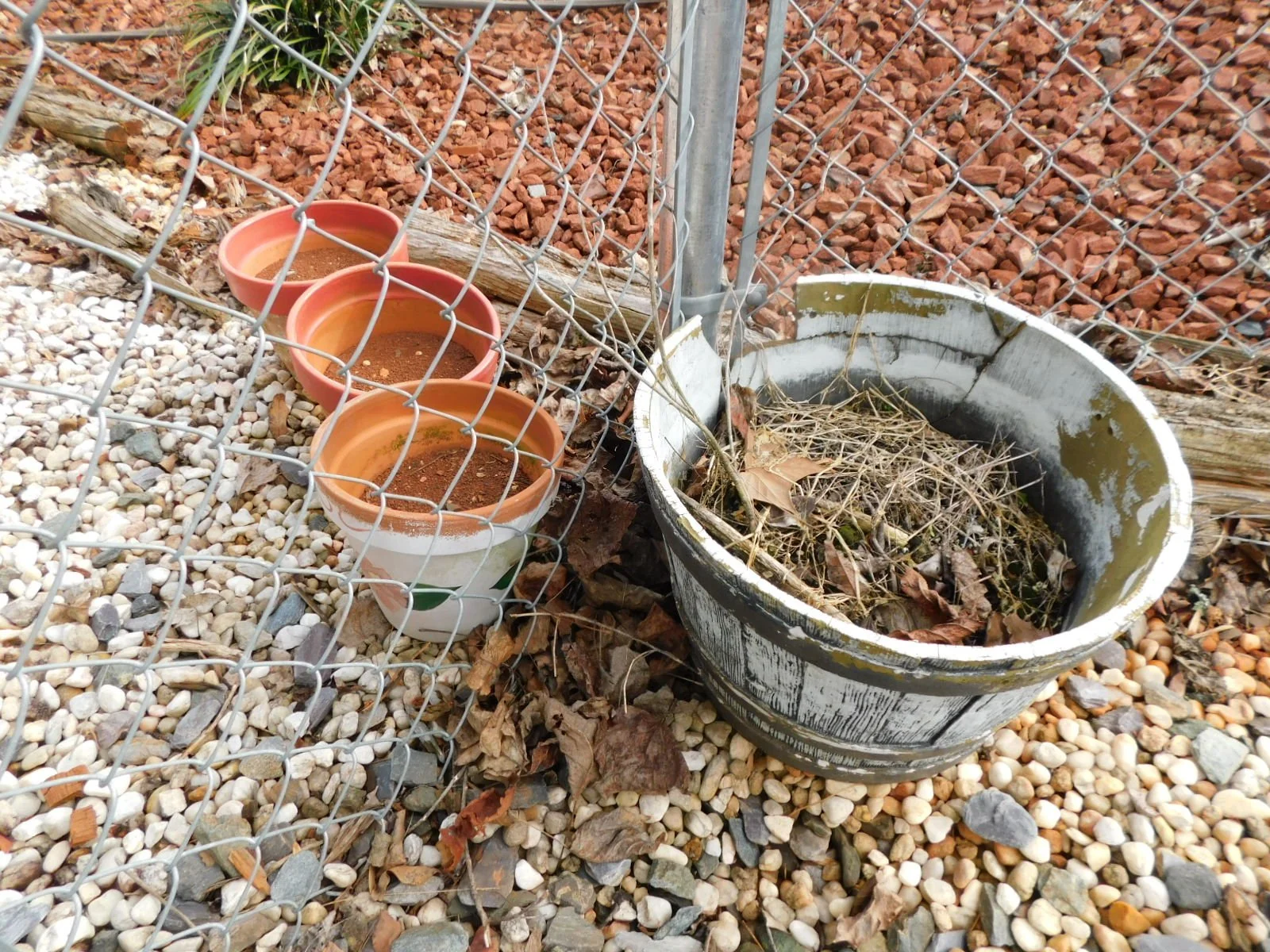DSCN3128.JPG