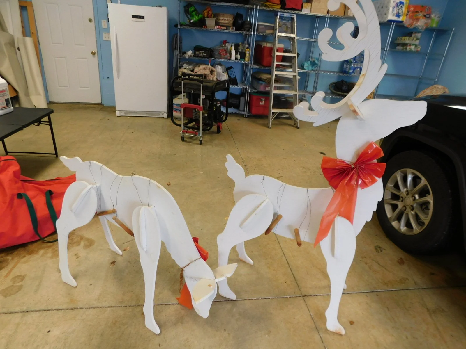 DSCN3137.JPG